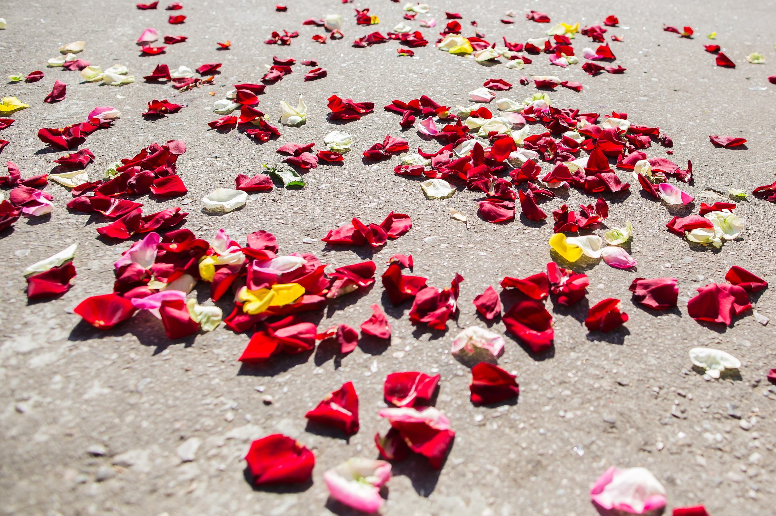 Сергей и Оля. Репортажный, семейный и детский фотограф в Пензе и Заречном Арина Ермилова. Картины барельеф на заказ