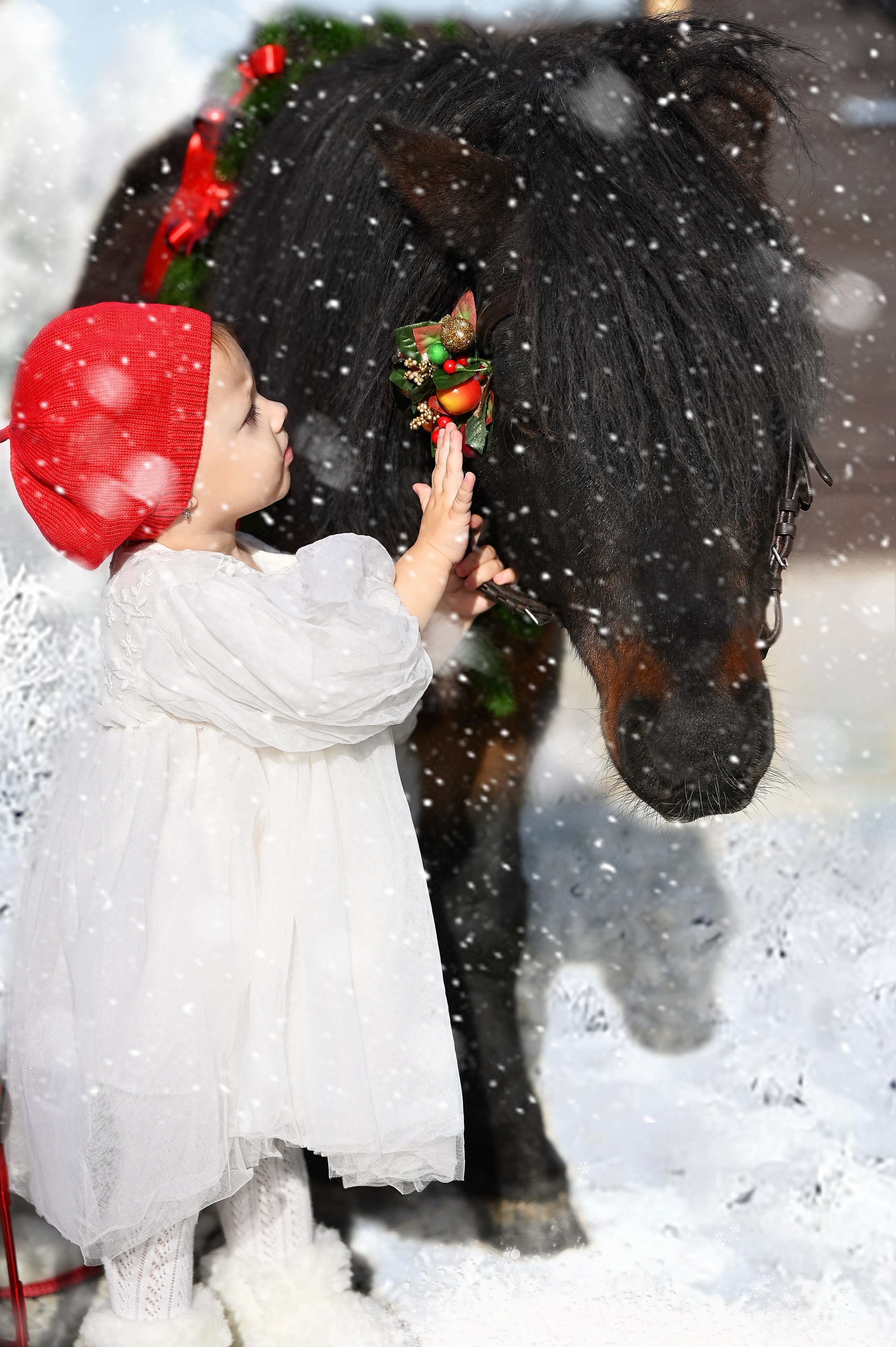 Лошади. Главная