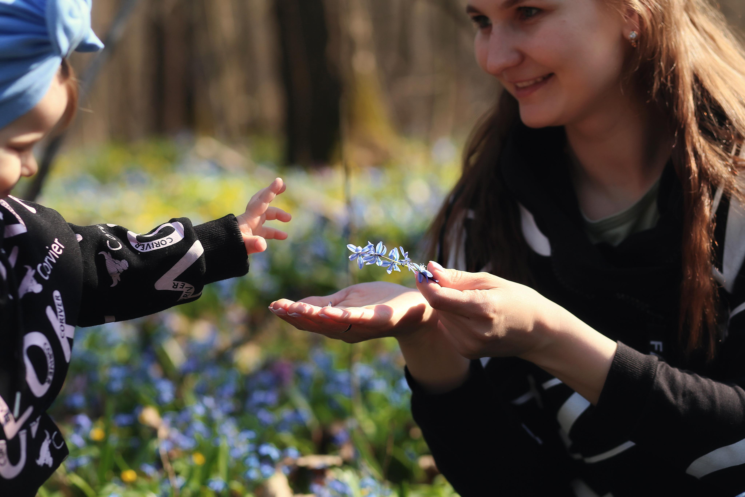 Прогулка в цветущем лесу. Семейный фотограф в Воронеже Плотникова Алина