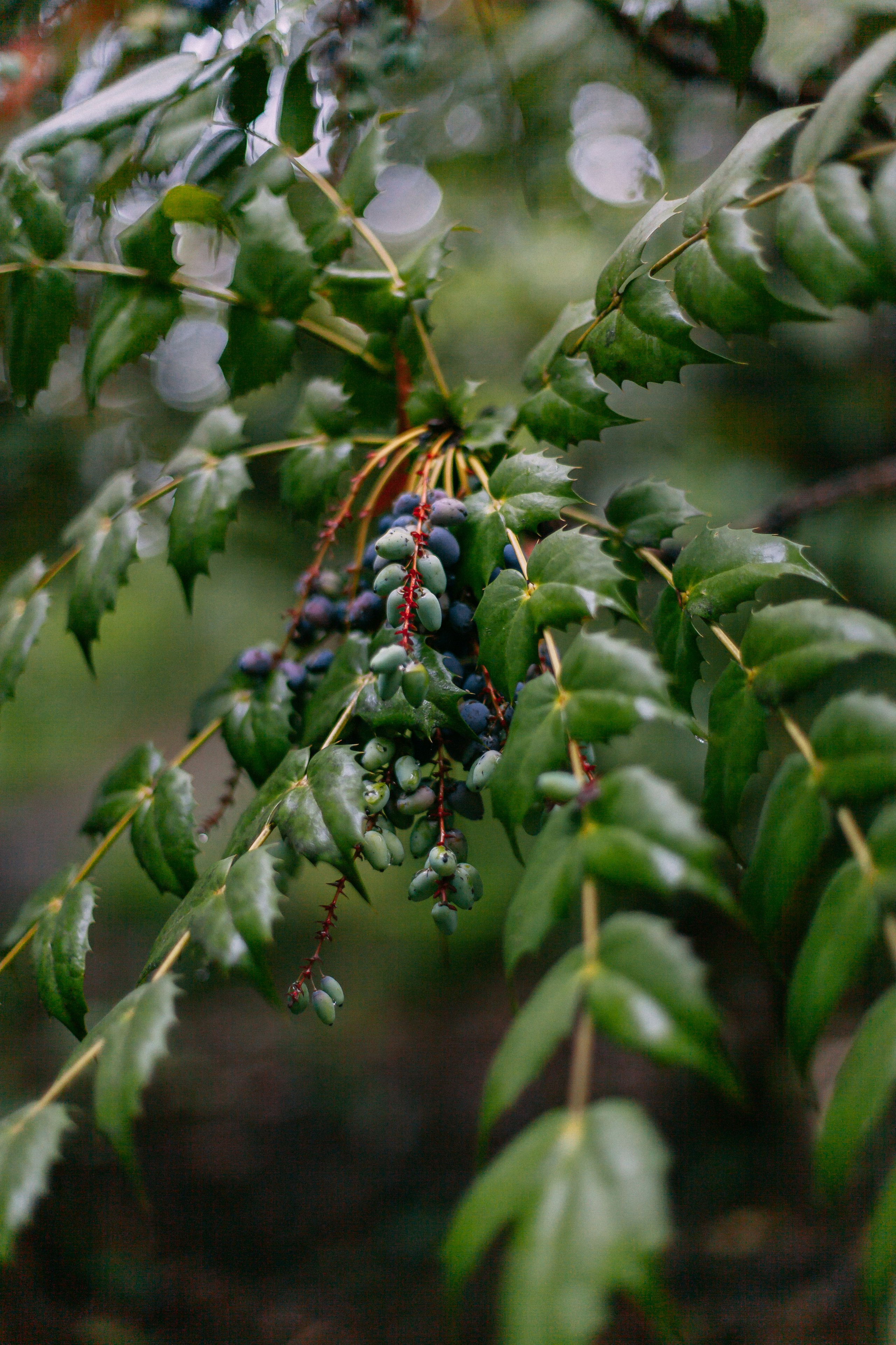Сочи. Аня Степанова