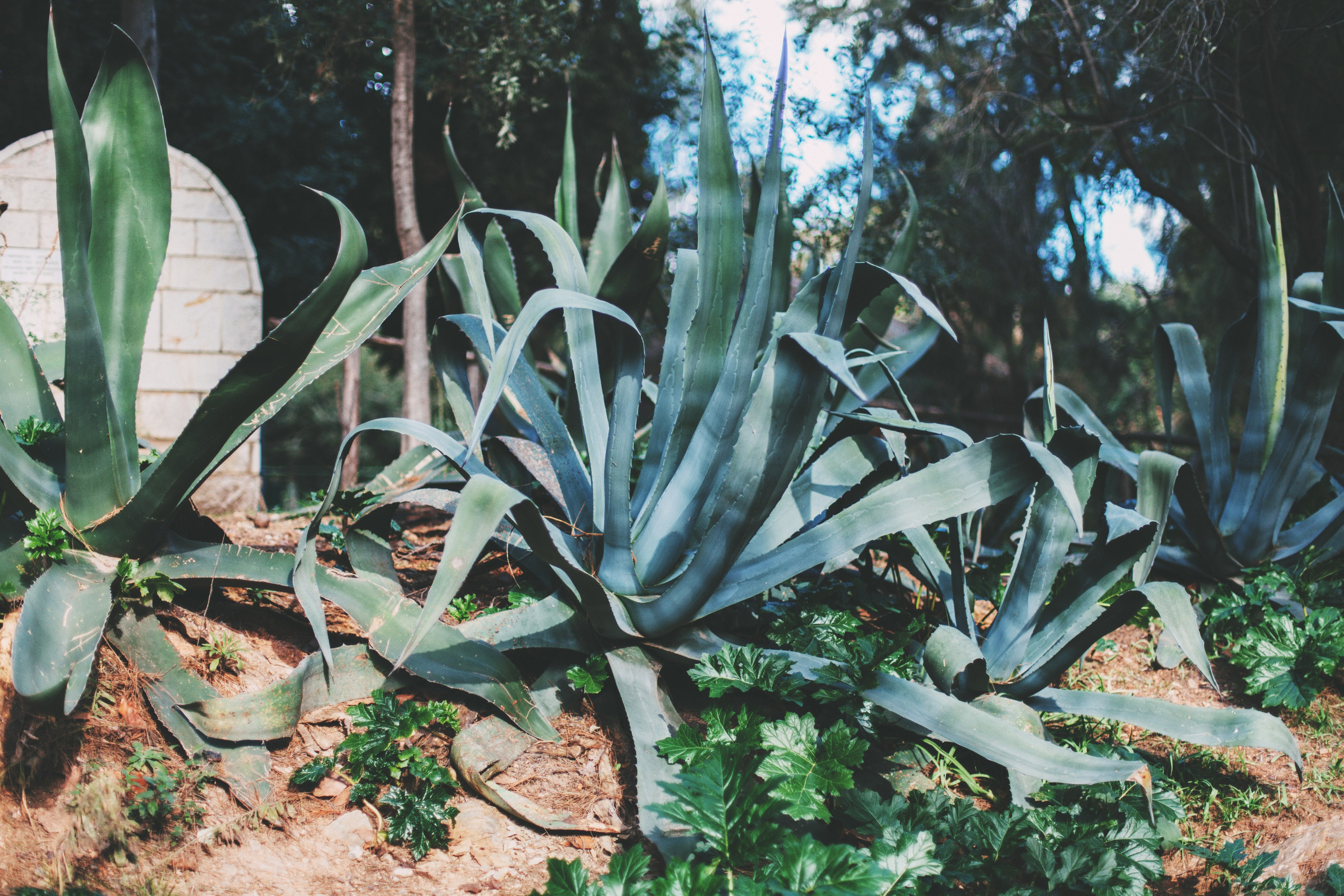 Афины. Аня Степанова