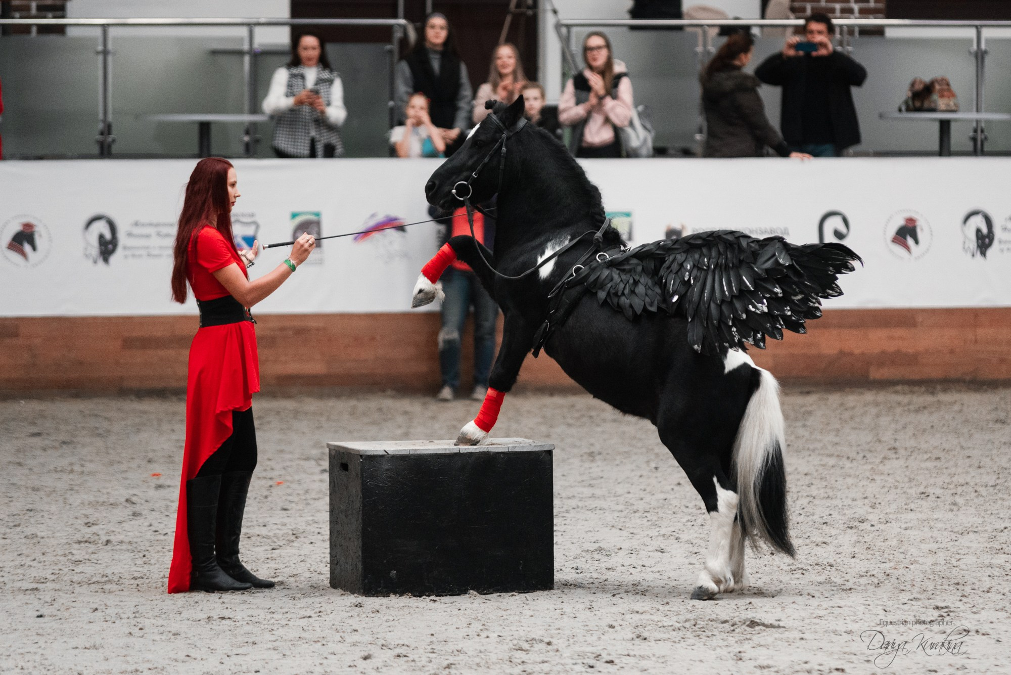 8-я международная выставка Конная Россия. Конный фотограф Куракина Дарья • Фотосессии с лошадьми