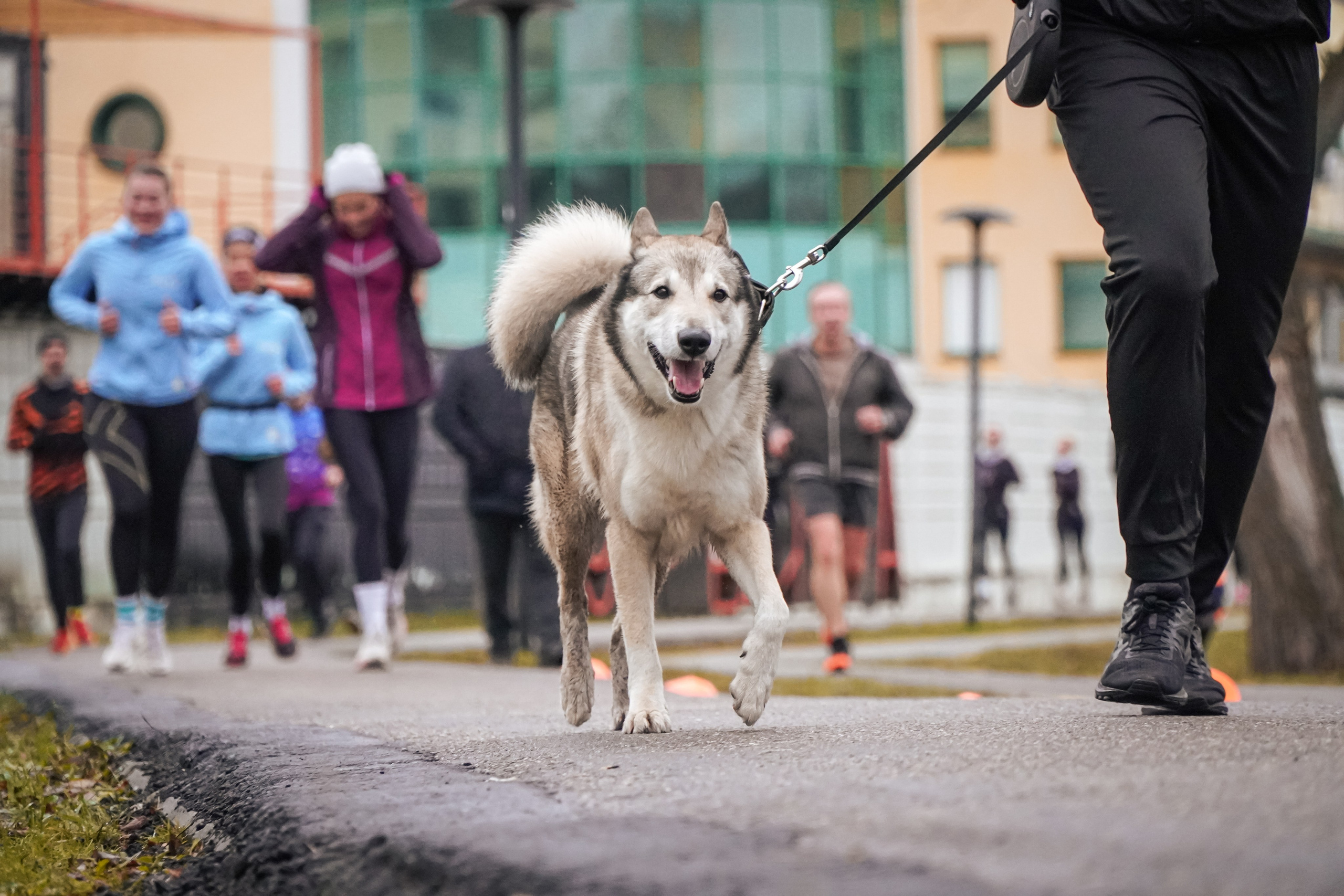 5 вёрст Реутов 16.11.2024. Роман Капилюшов. Бег. Фото. Видео. г. Люберцы