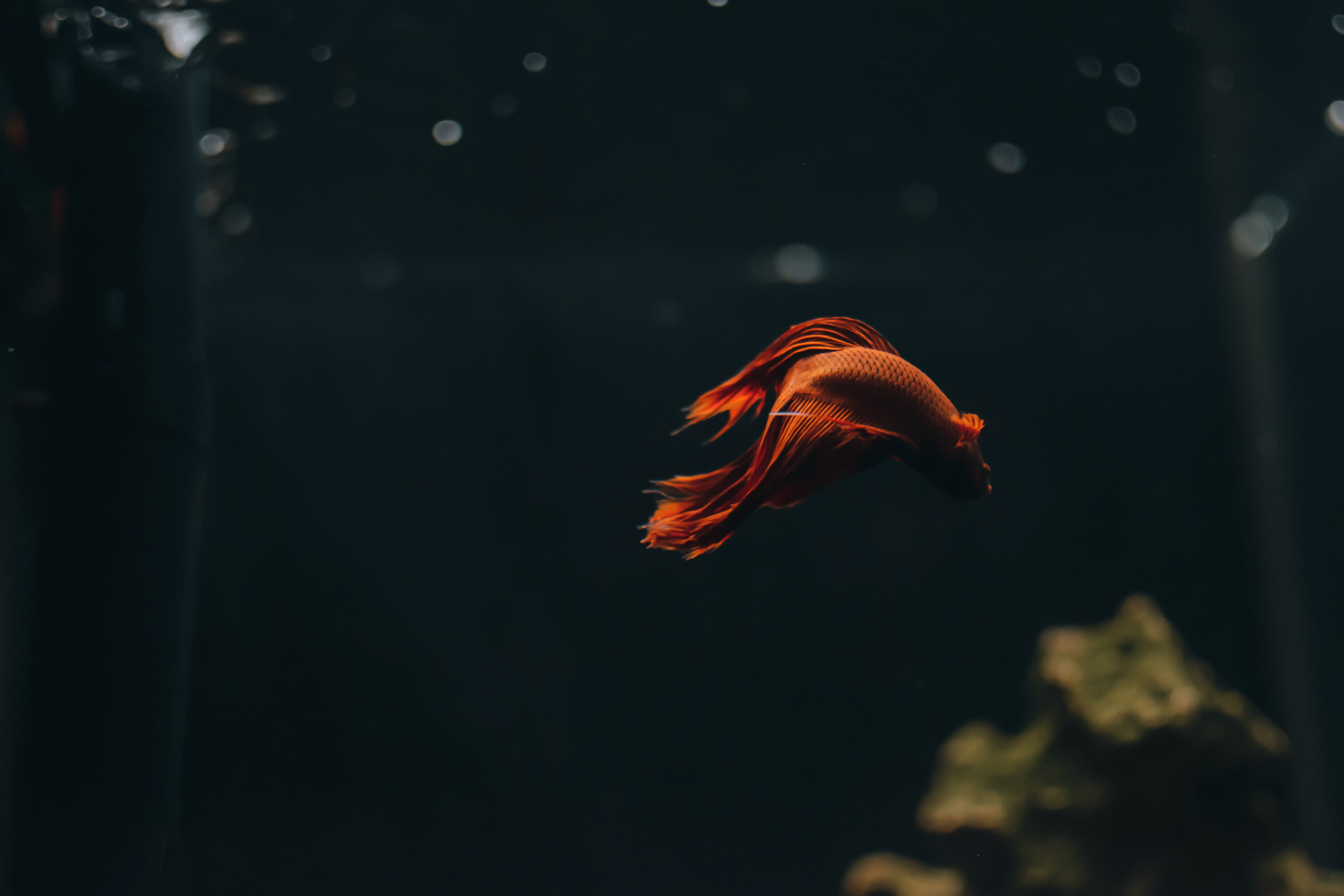 Итоги 2024. Саватейкин Ярослав | Портретный фотограф в Москве