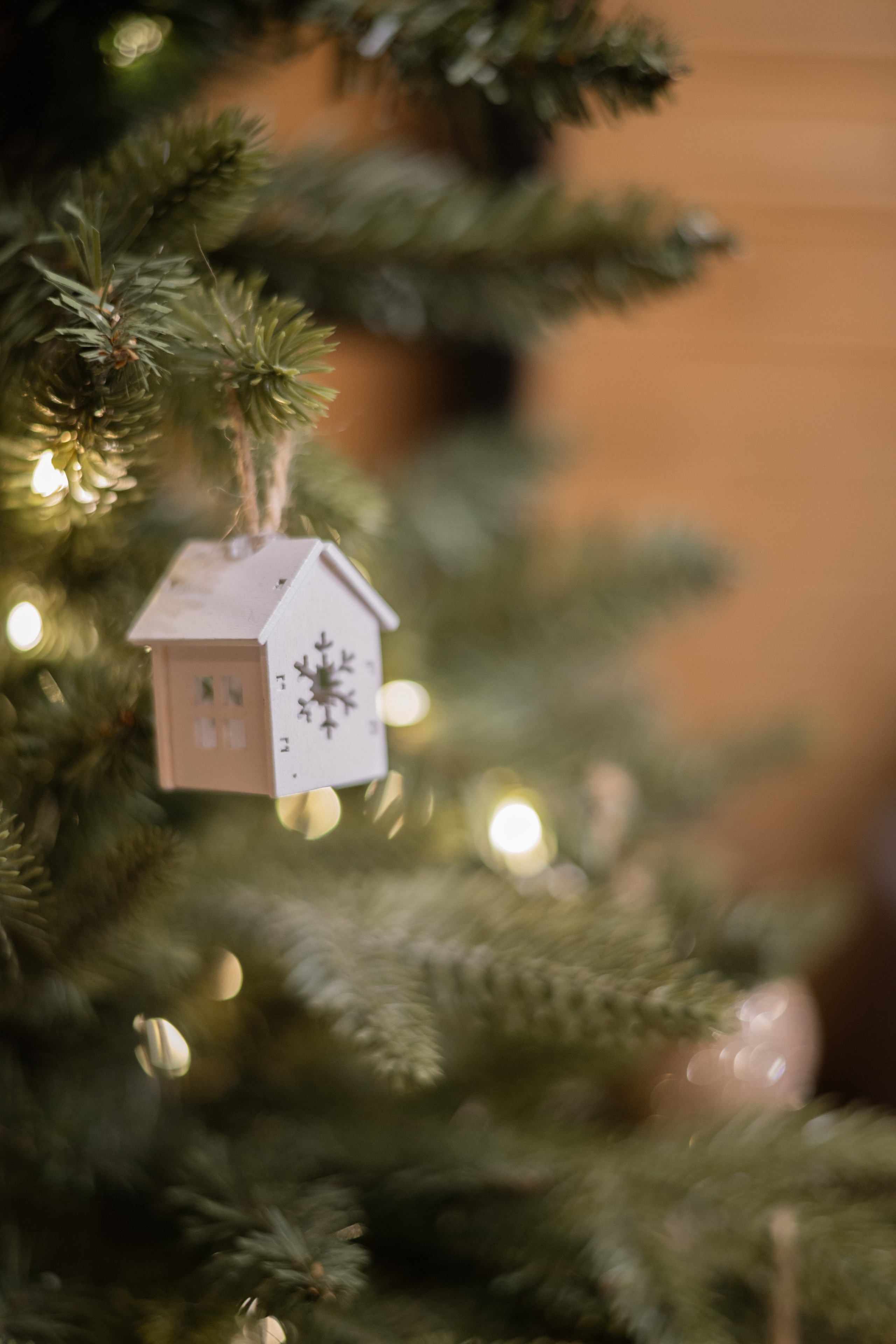 Новогодняя история Есении и Мирослава. Детский и семейный фотограф в Санкт-Петербурге и Ярославле Павлова Гал