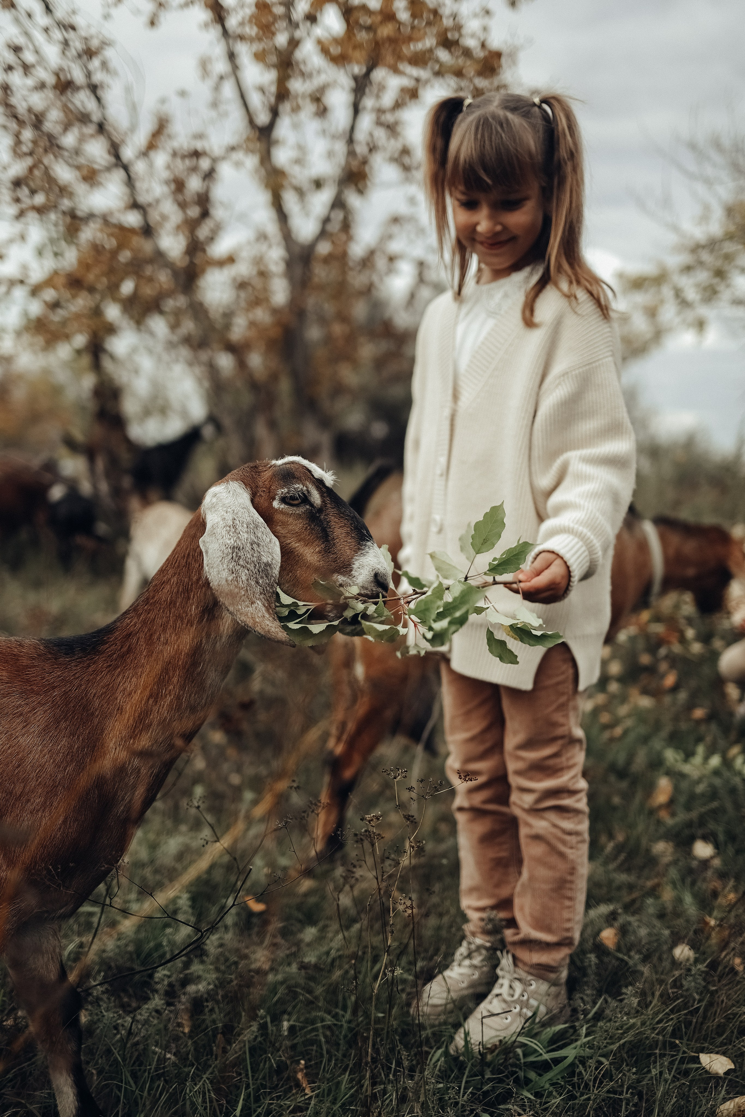 Семейная прогулочная съёмка. Фотограф в Астане Элина Багинская
