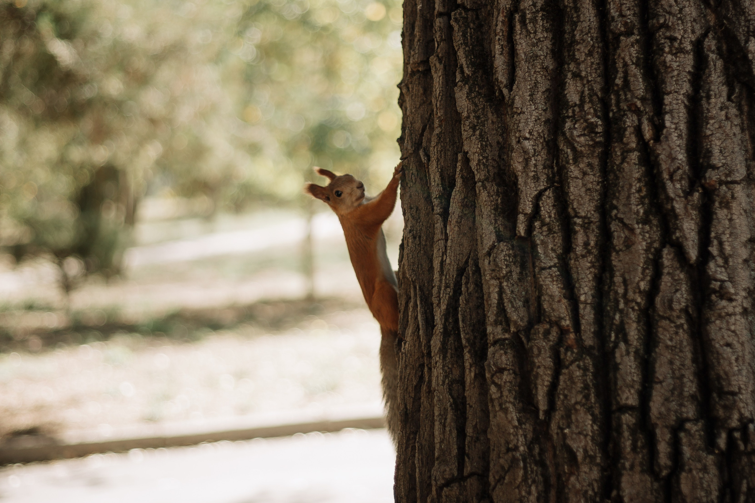 Матвею 1 год. Фотограф в Крыму | Виктория Нотевская