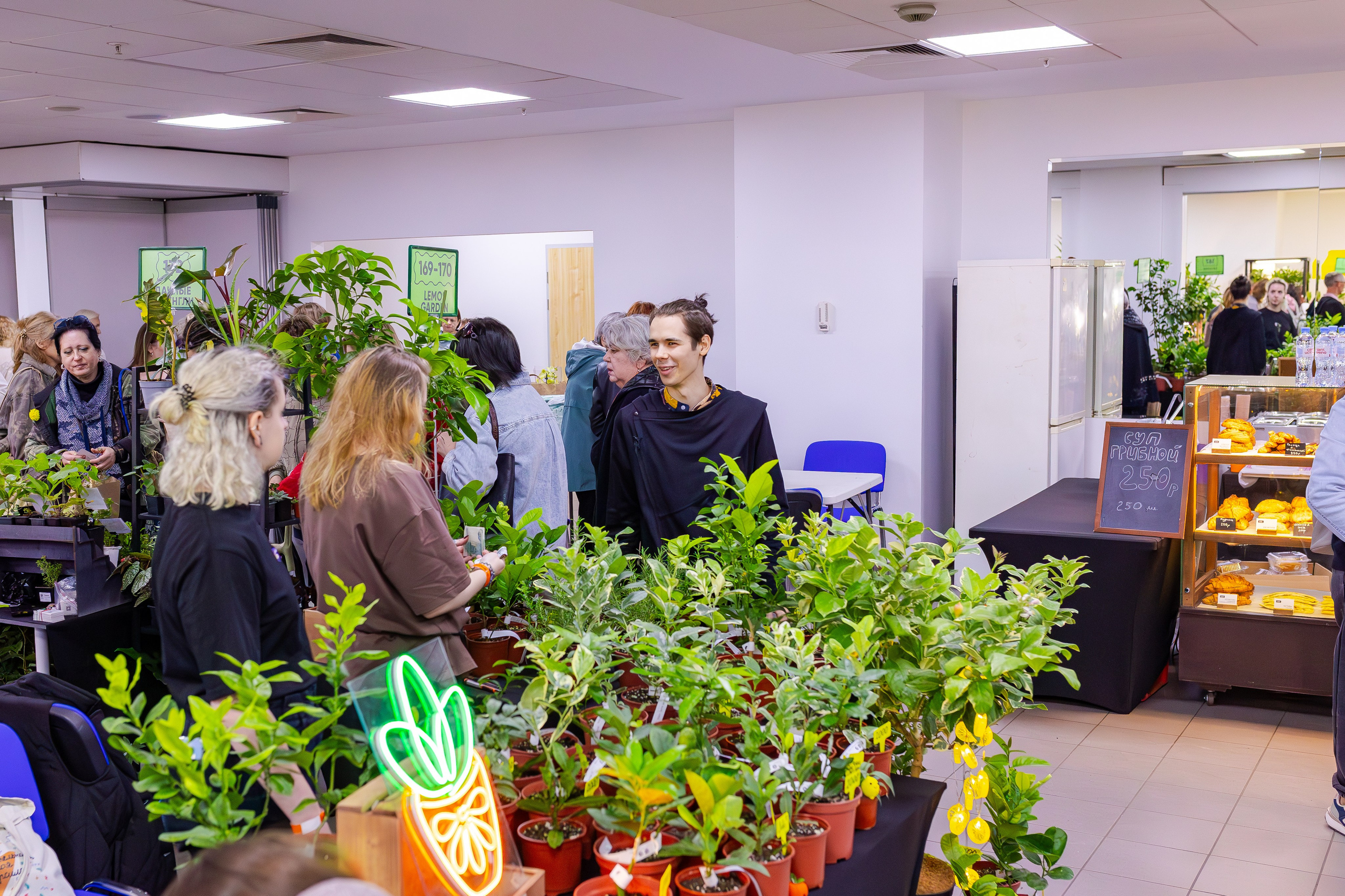 Орхидиум сентябрь 2025. Александра Куликова фотограф, Москва