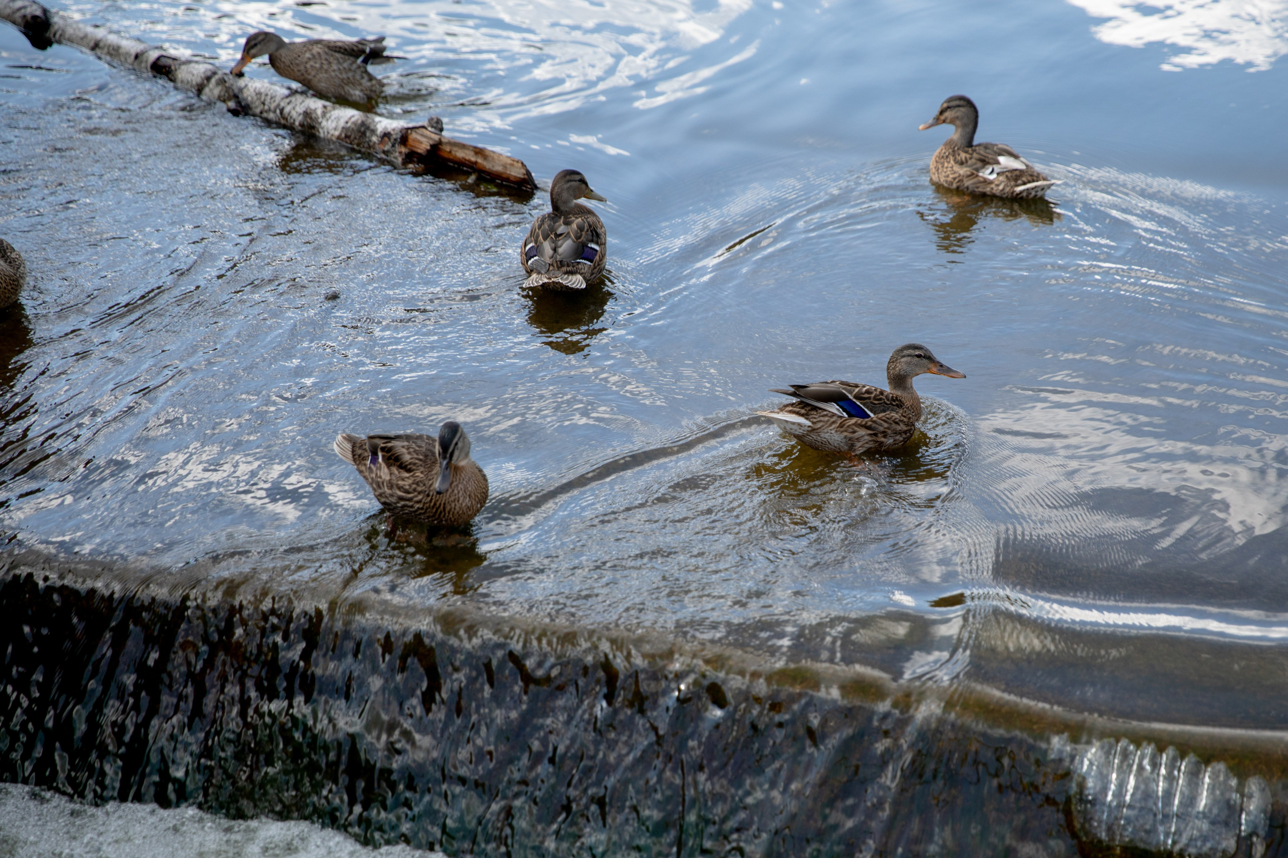 Мама и дочка на прогулке. Индивидуальный и семейный фотограф Ирина Москвичёва
