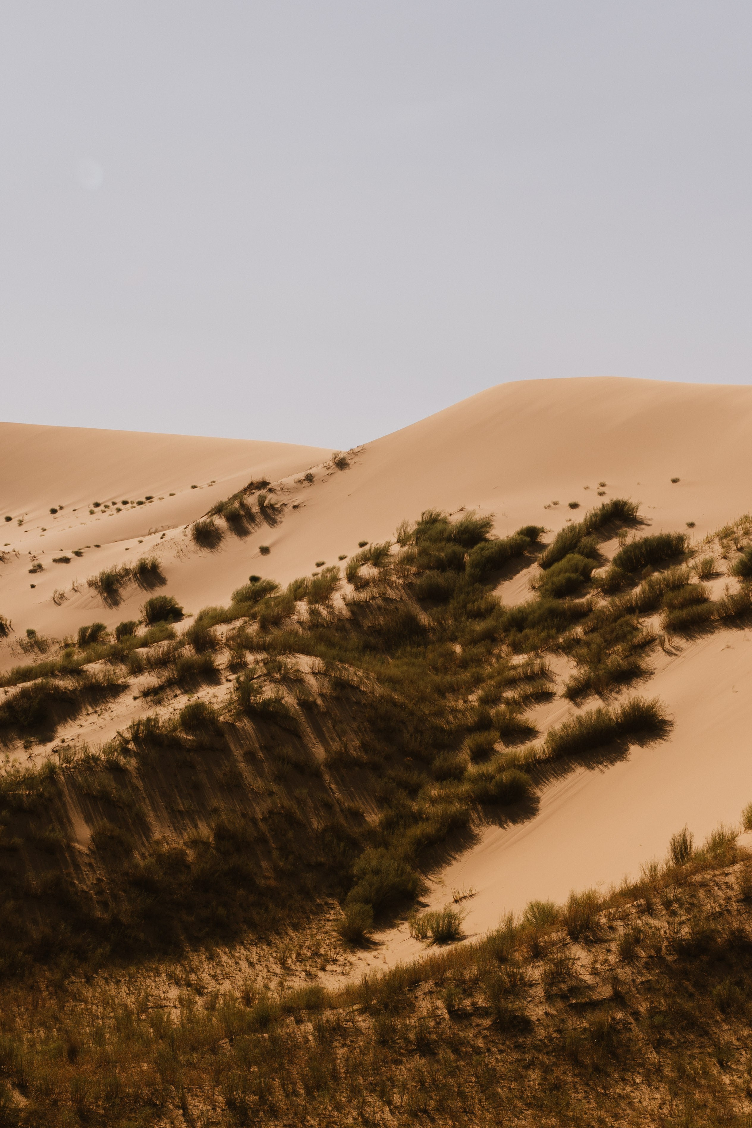 Пейзаж. Фотограф Кантемир Бараов
