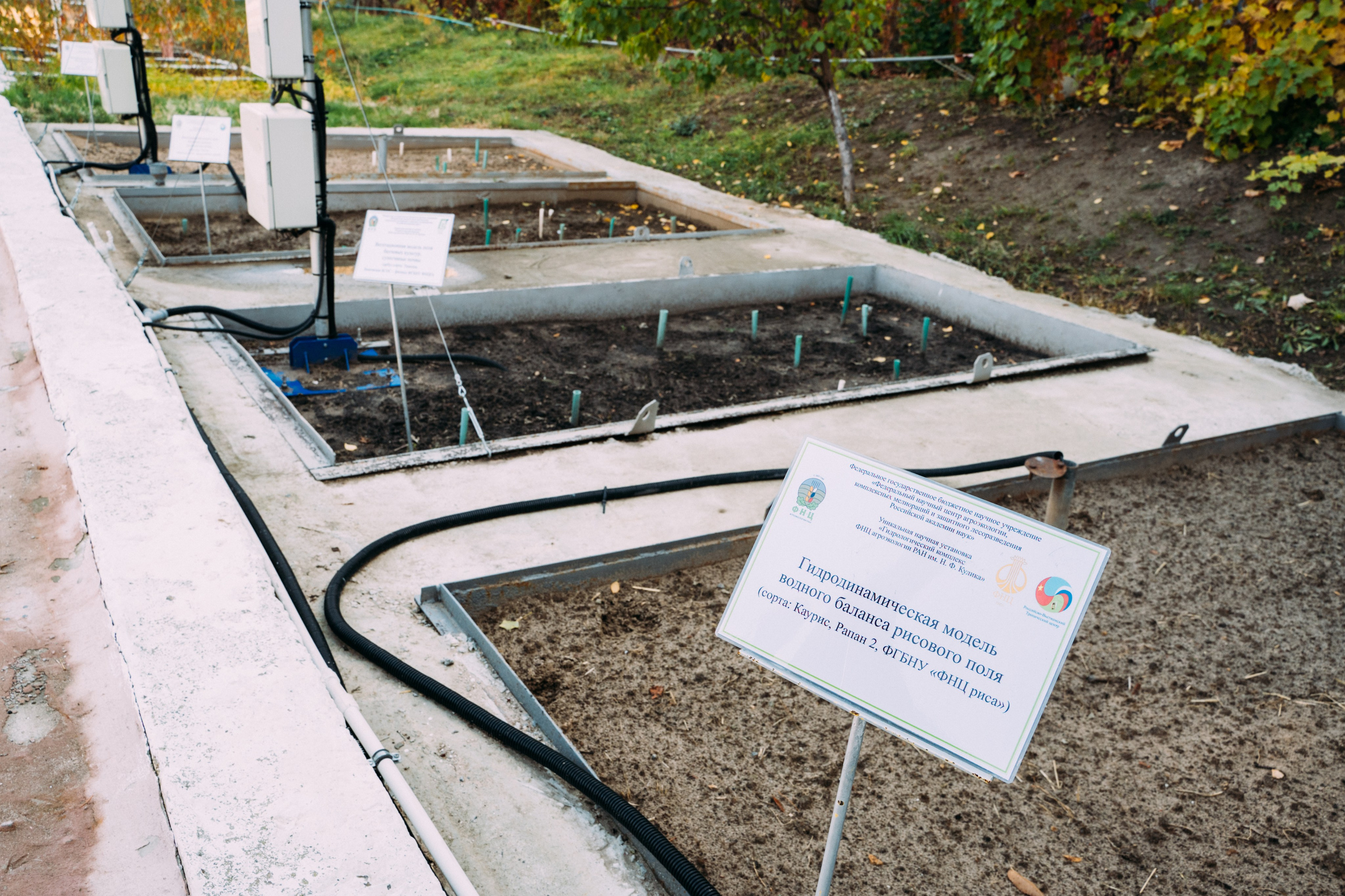 Международная конференция РАН