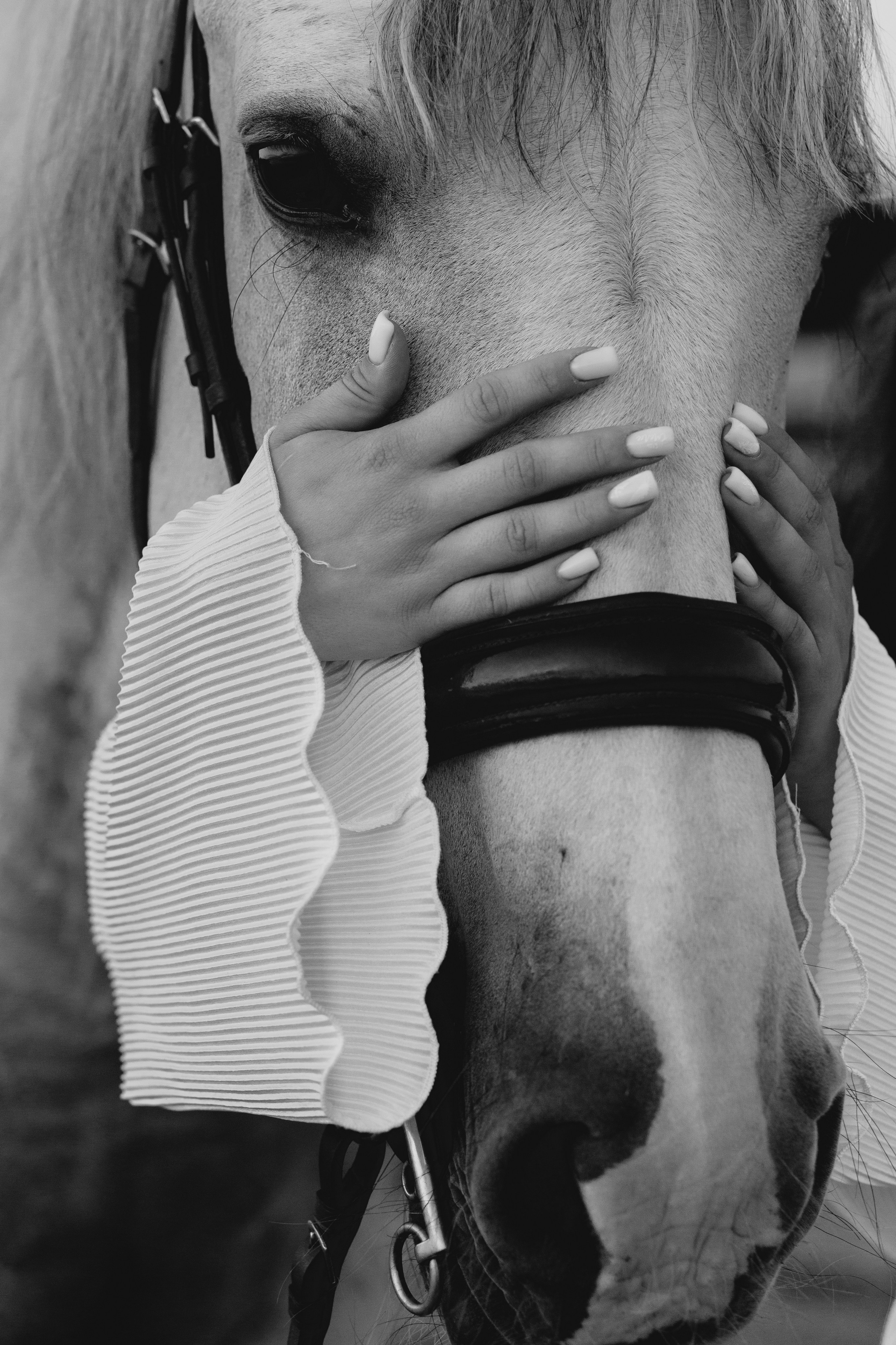 Съемка с лошадью. Фотограф в Санкт-Петербурге Вера Сивенкова