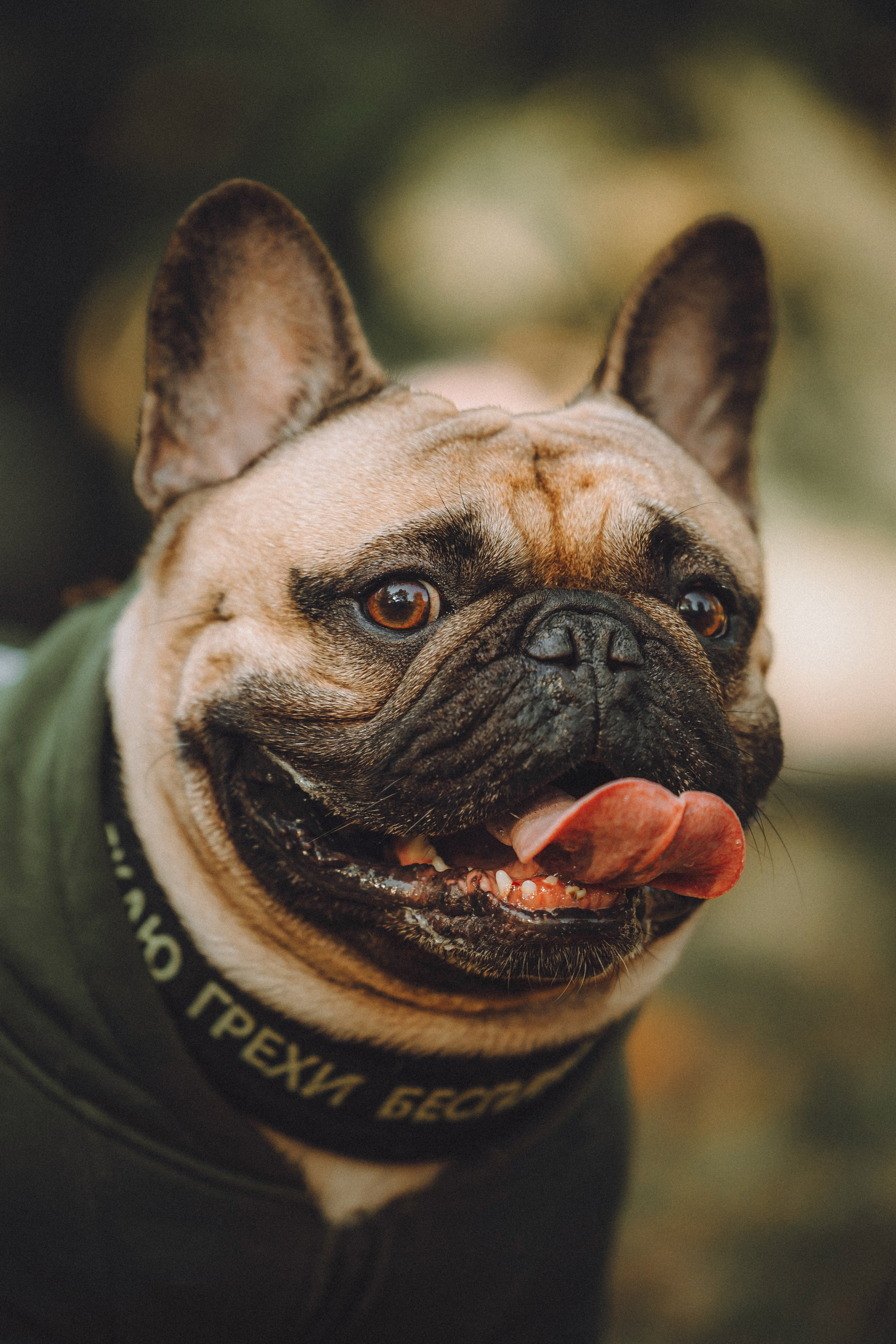 Настя, Женя и Хонор