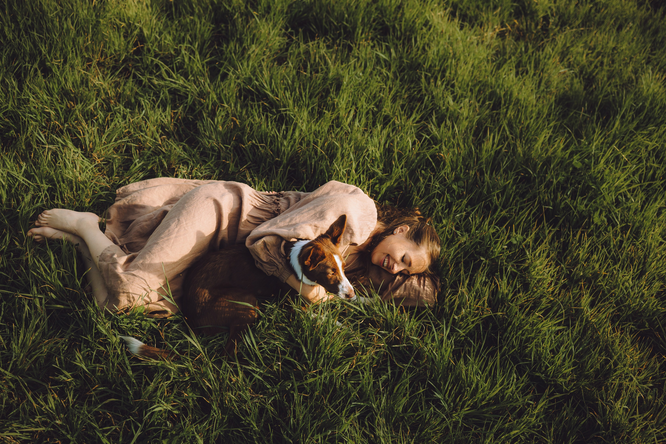 Выездной дог-тренинг от школы «Шерсть имею», Тованово