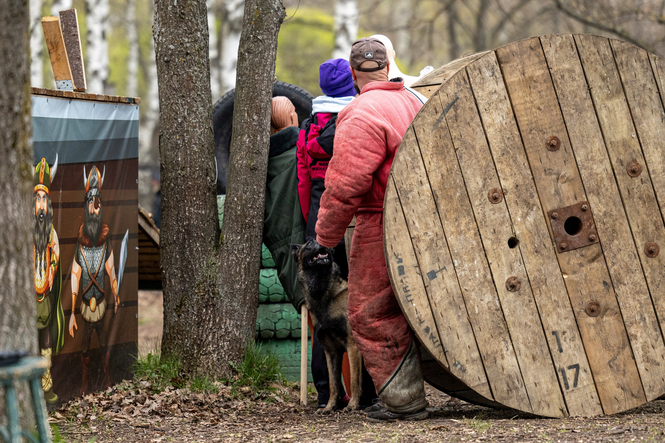 Квалификационные состязания по мондьорингу г. Вологда 11.05.24. Фотограф-анималист Анна Маринич