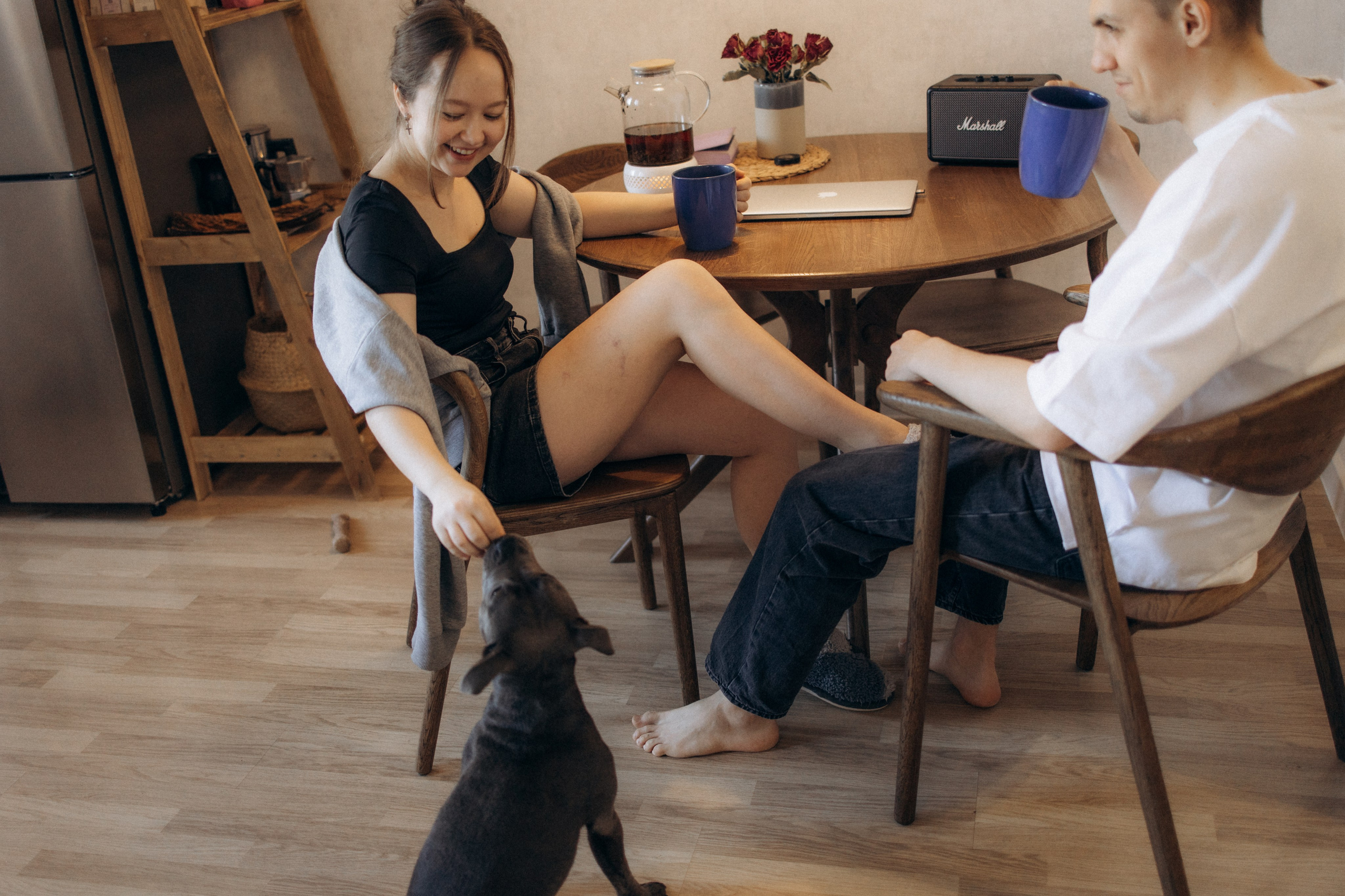 Таня, Егор и Луна. Фотограф анималист в Казани Алина Сулейманова. Фотограф животных