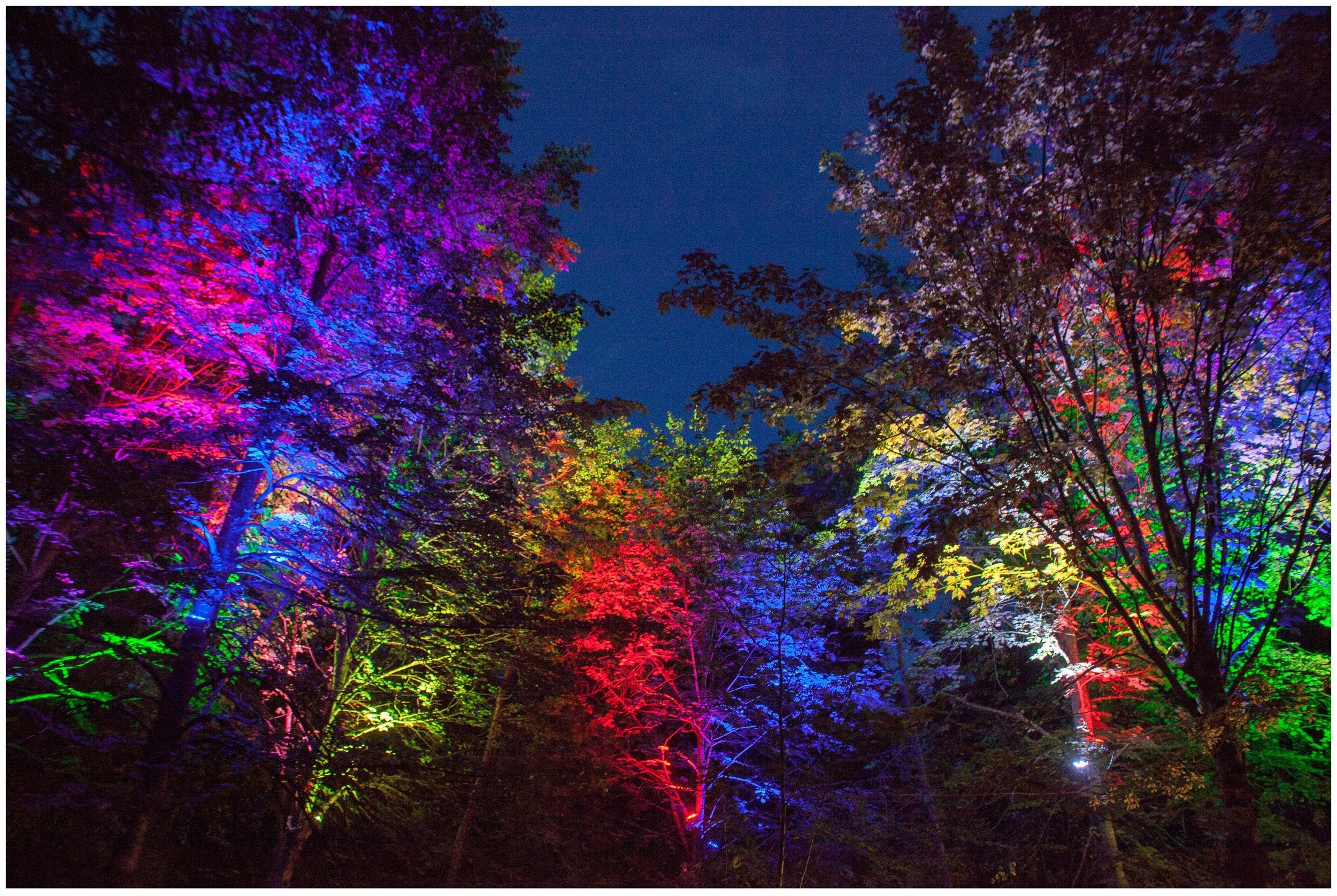 Басовішча XXX. Künstler Verstecktoff