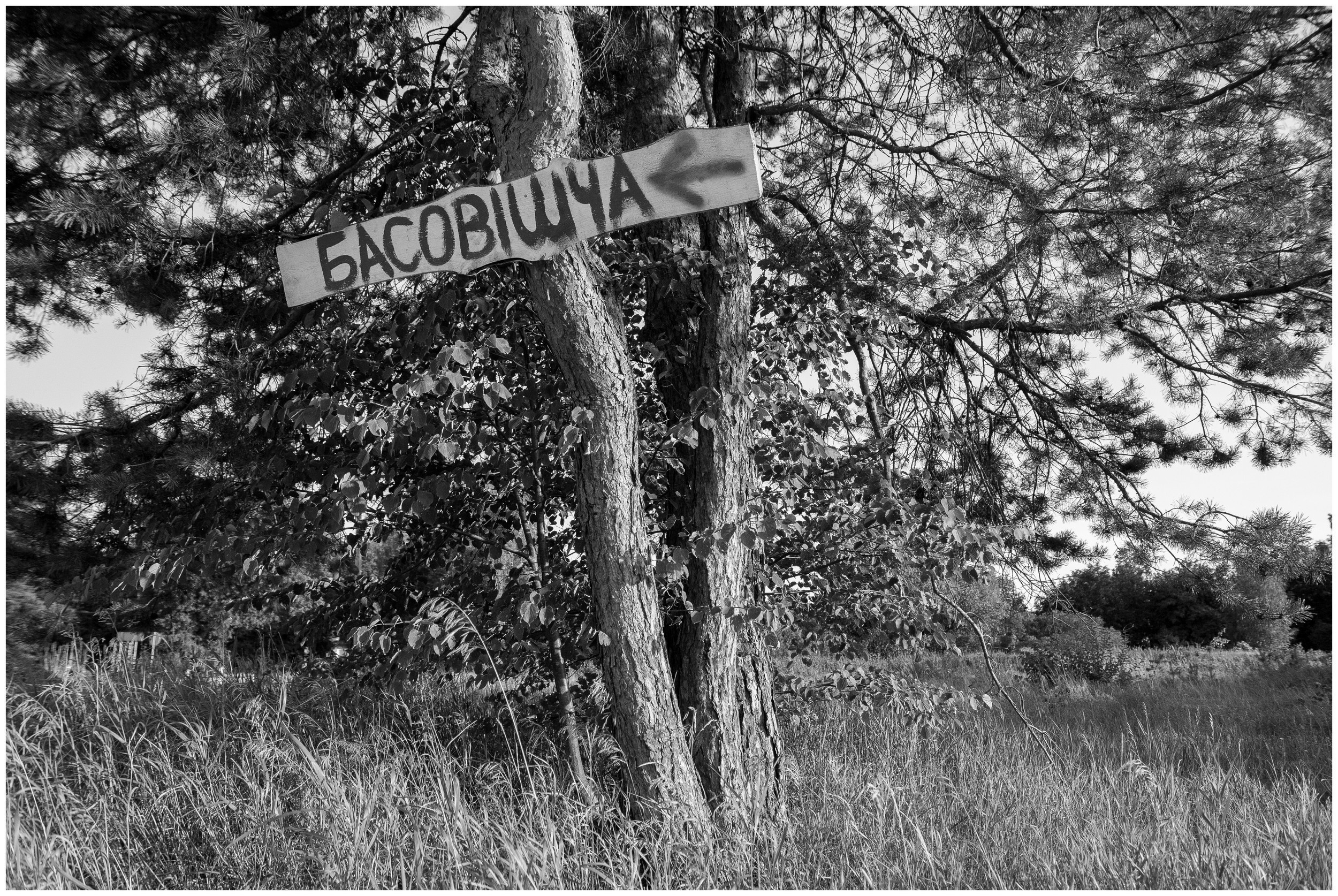 Басовішча XXX. Künstler Verstecktoff