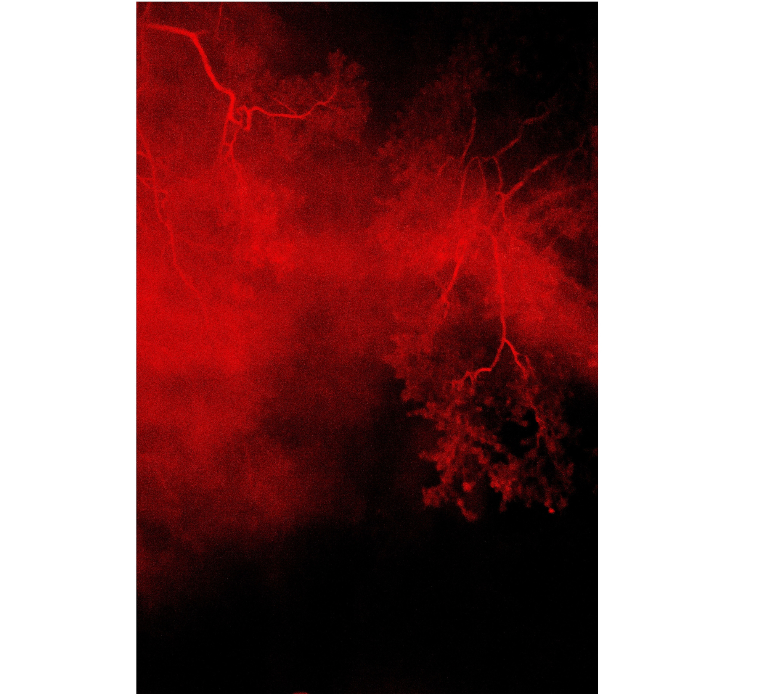 Басовішча XXX. Künstler Verstecktoff