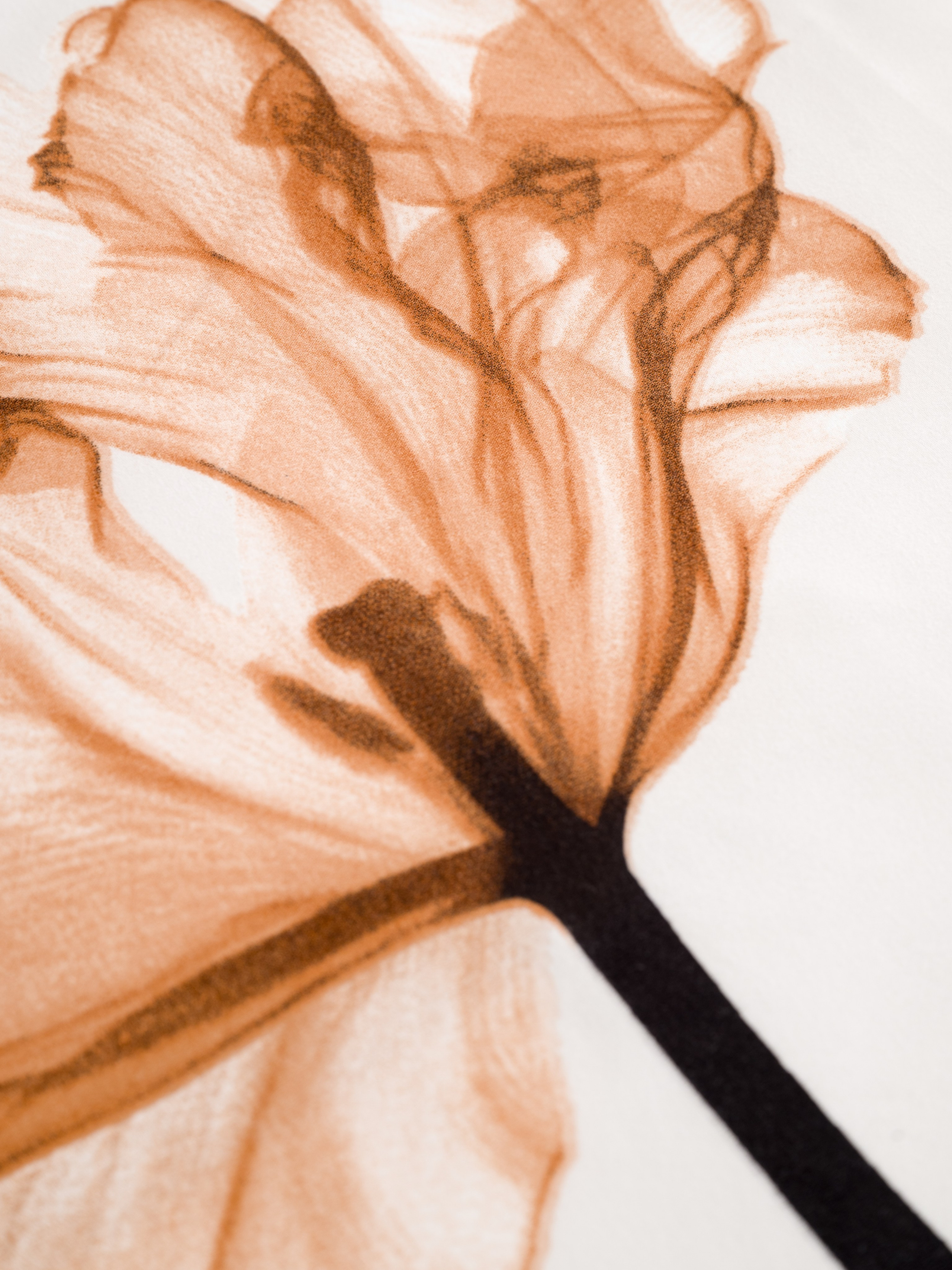 Съемка в студии «Space». Фотограф для маркетплейсов в г. Иваново Клещенок Юлия