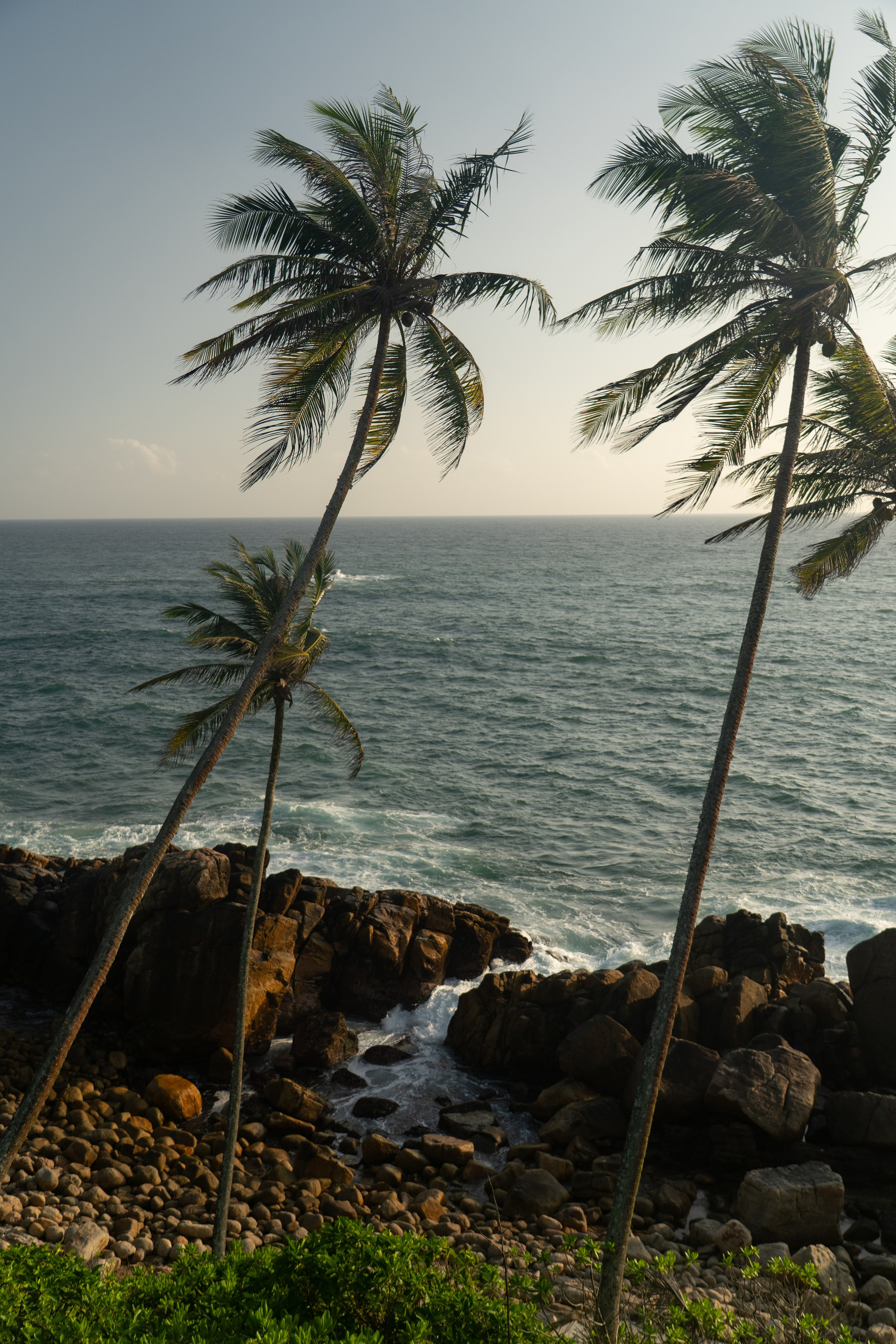 Как выбрать локацию для фотосессии на Шри-ланке?