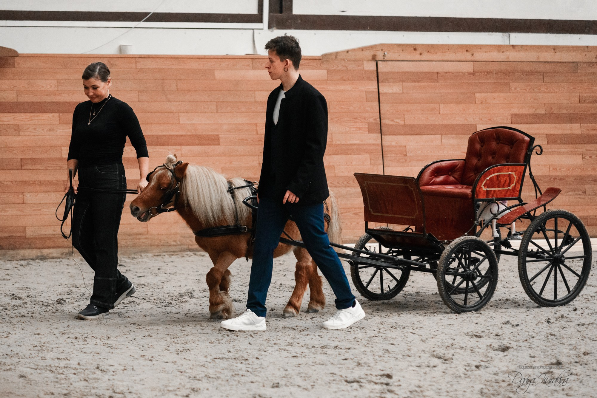 8-я международная выставка Конная Россия. Конный фотограф Куракина Дарья • Фотосессии с лошадьми