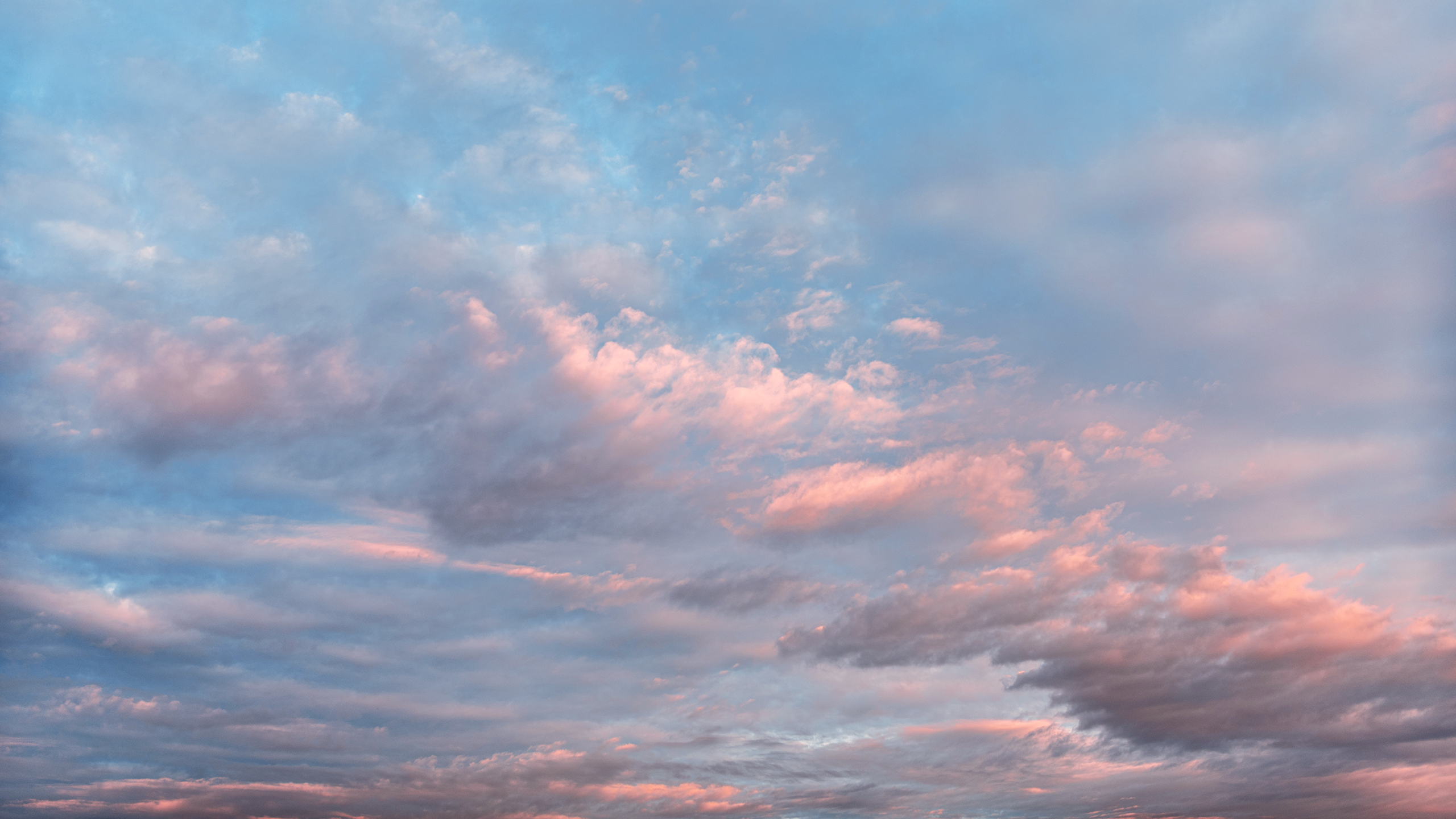 Небо видело всё. Komonev