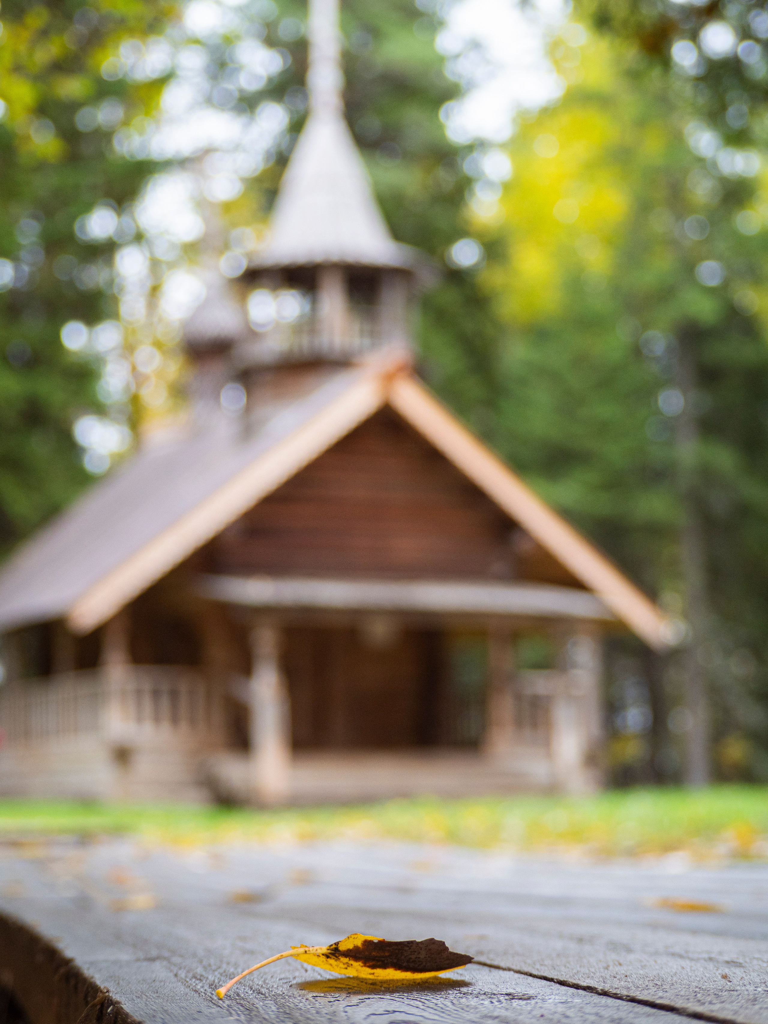 Малые Корелы. Вижу