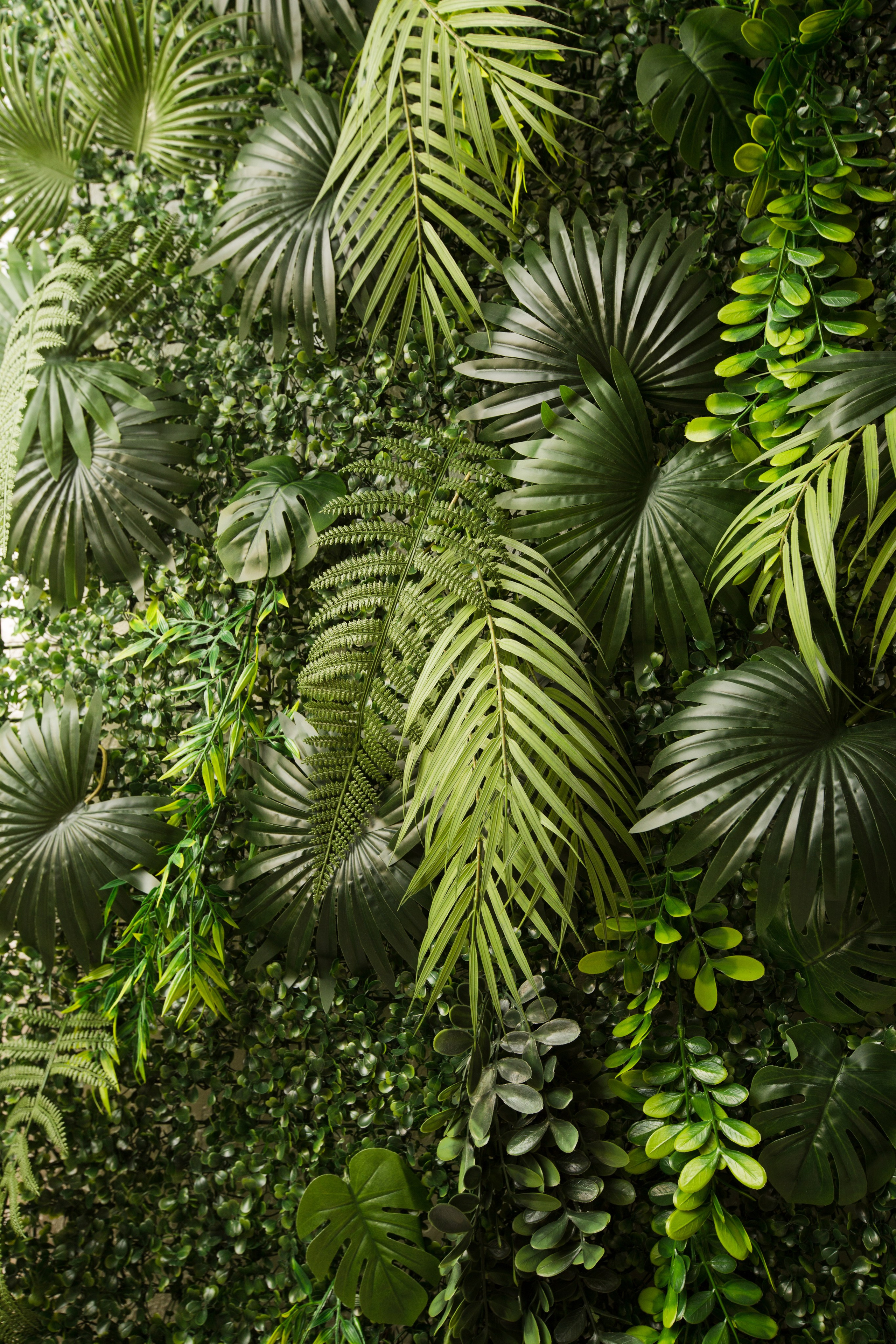 TaYou. Центр Спа и коррекции фигуры. Репортажный, семейный фотограф из Нефтеюганска