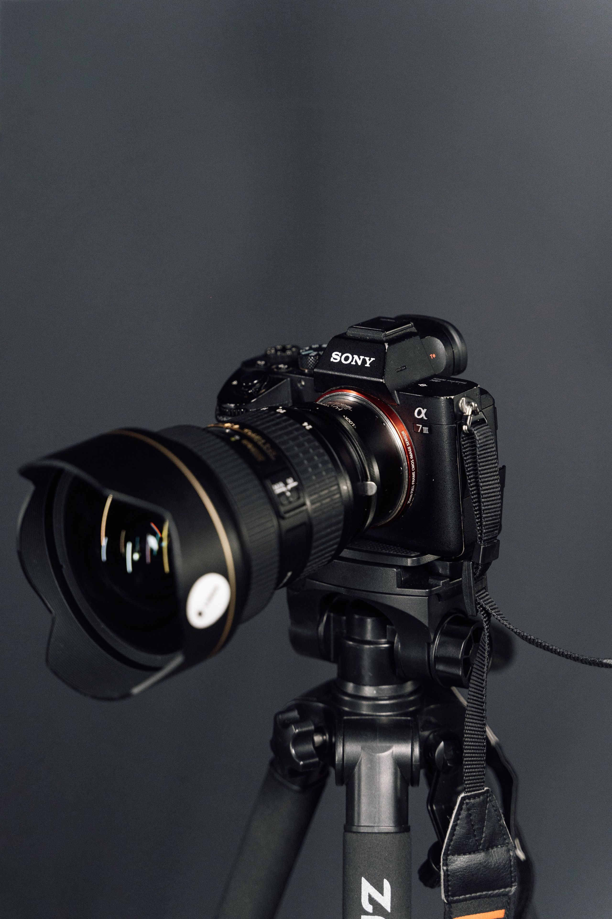 Интерьерная. Kamelia Candy фотограф Самара/ Москва