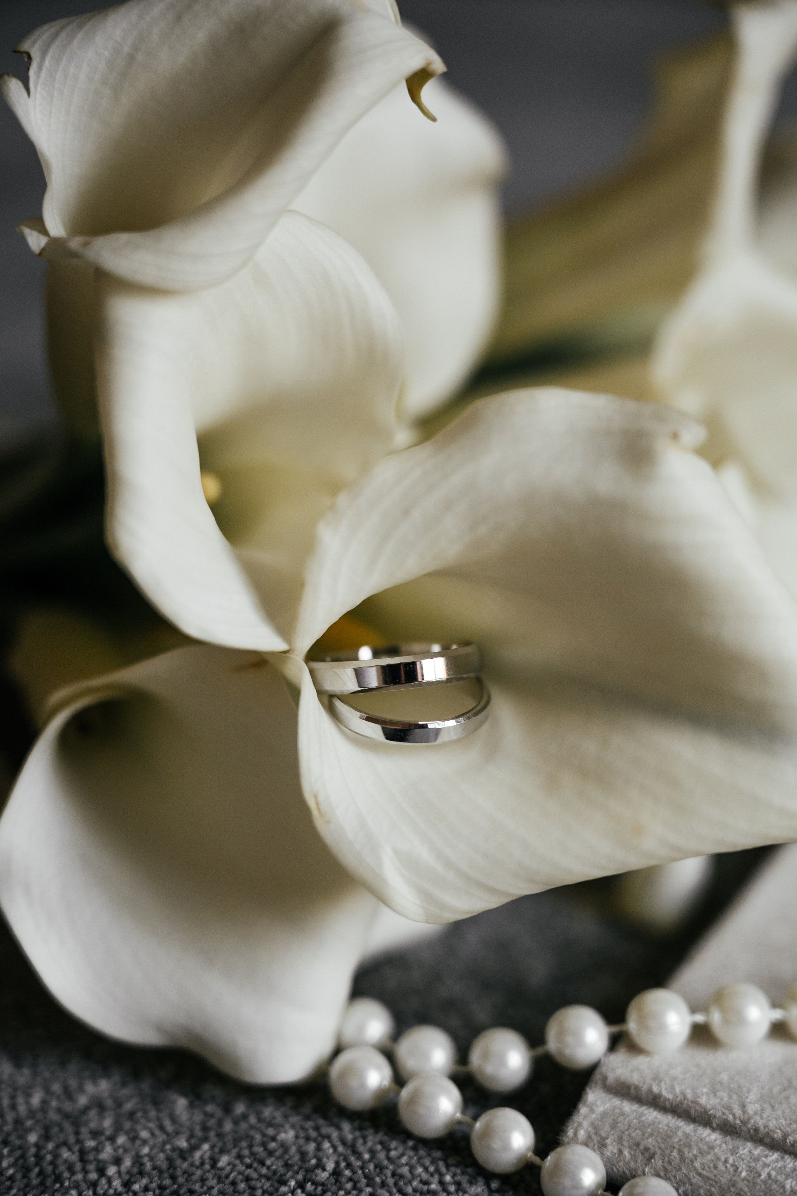 Вероника и Николай. Свадебный и студийный фотограф Ирина Котикова