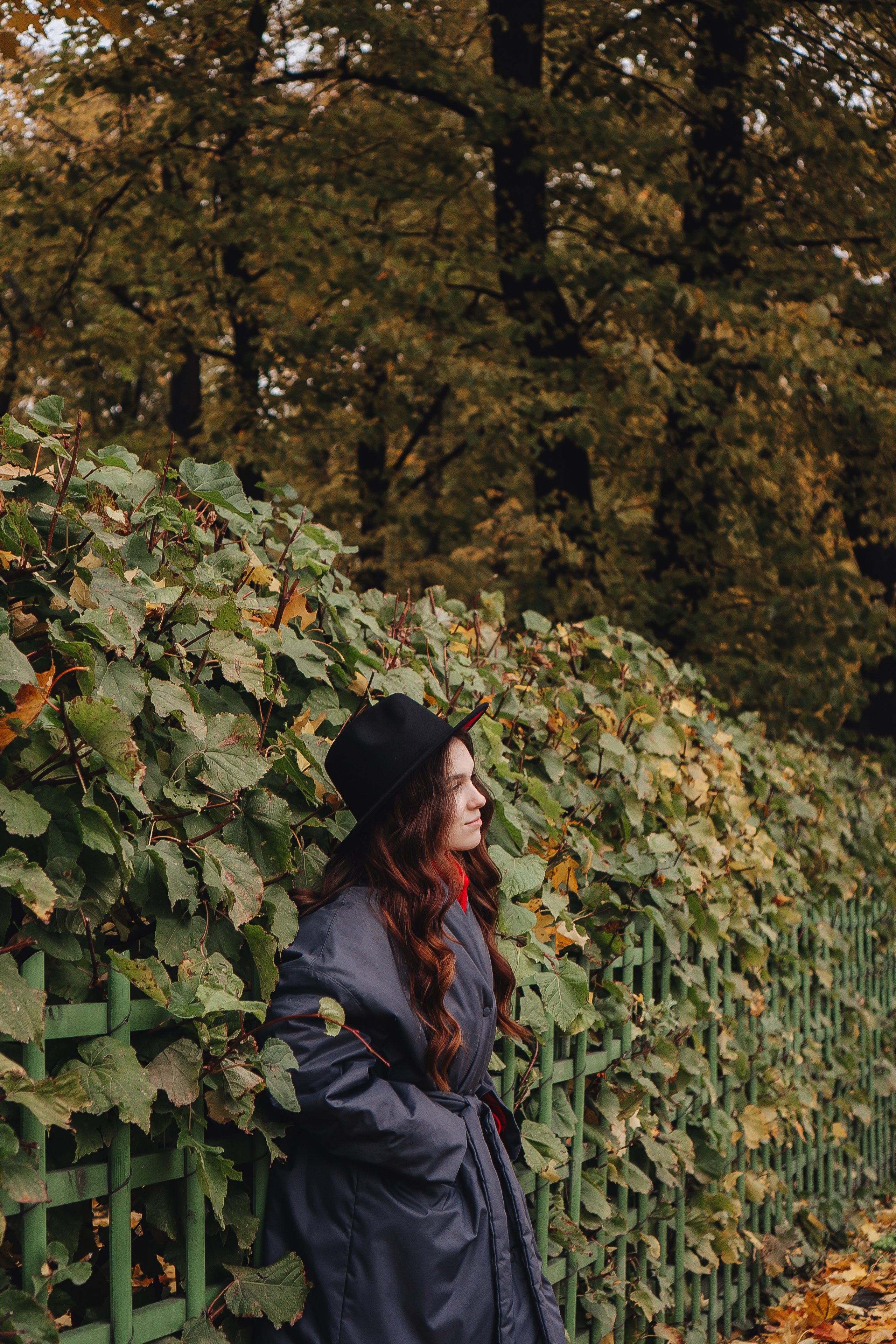 Осень. Профессиональный фотограф, Санкт-Петербург — Виктория Богомолова