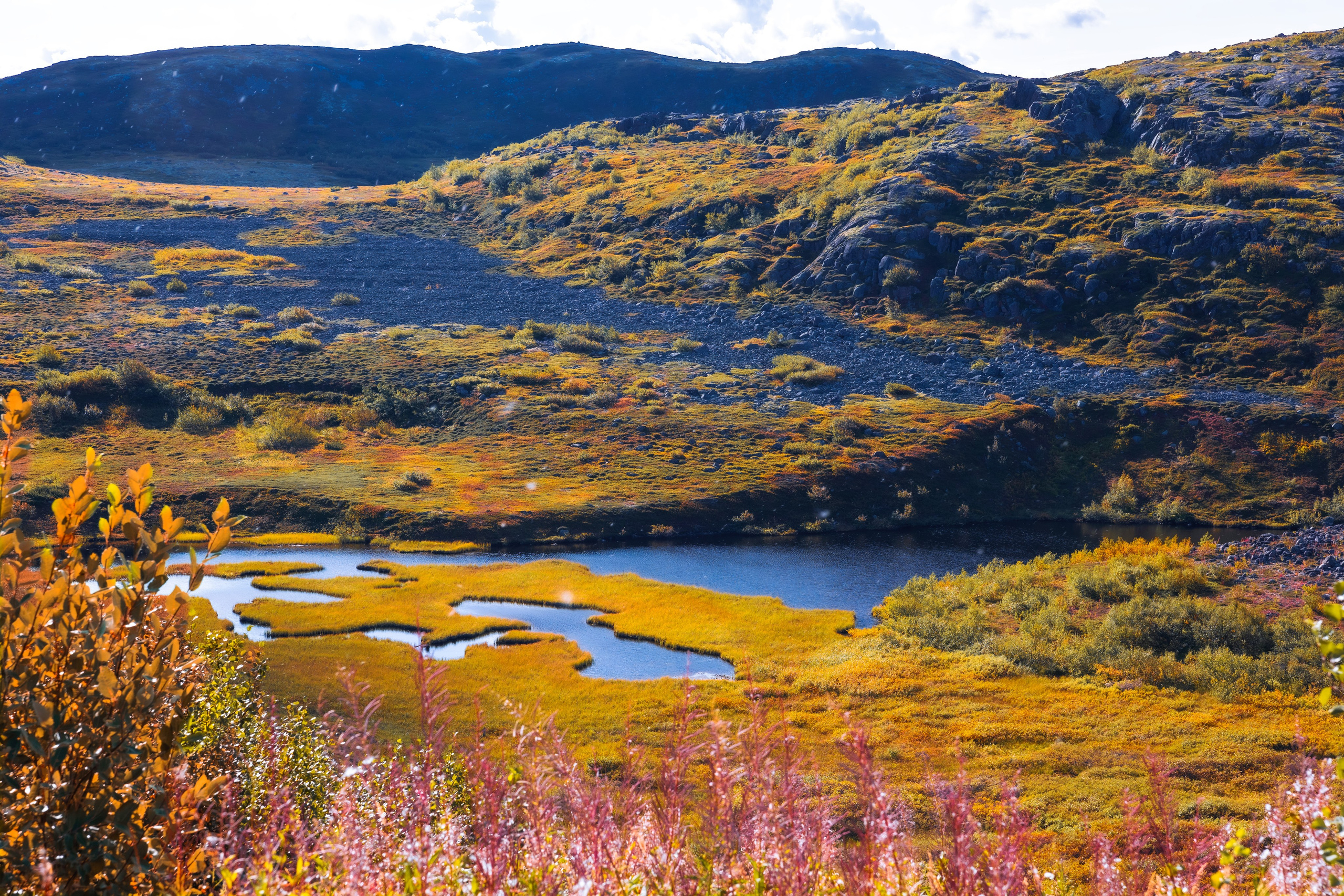 Teriberka Russian North Part Ⅲ. Photographer in Moscow Ira Beinar