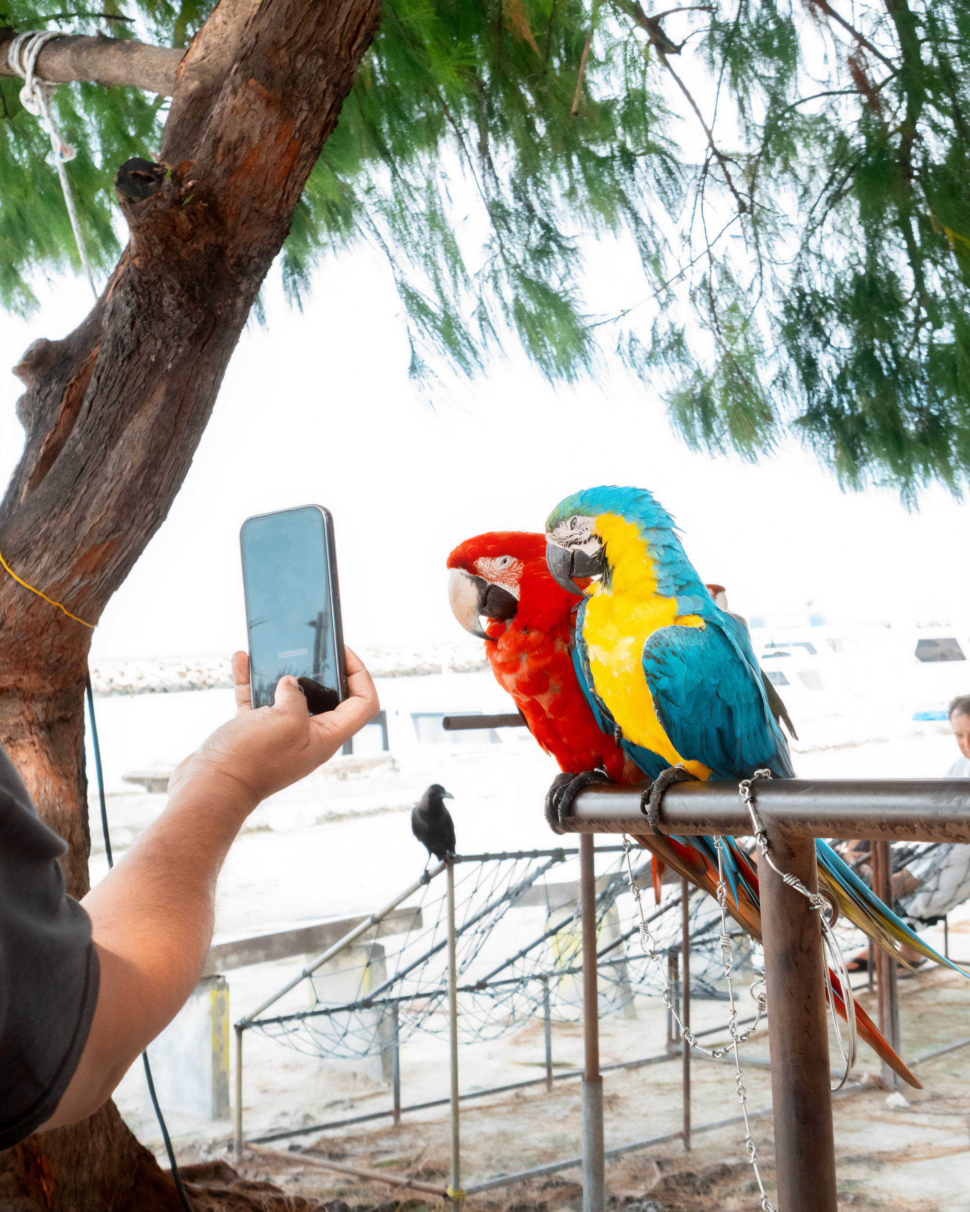 Ktokuda. Фотограф в Хабаровске. Фотография за 24 часа