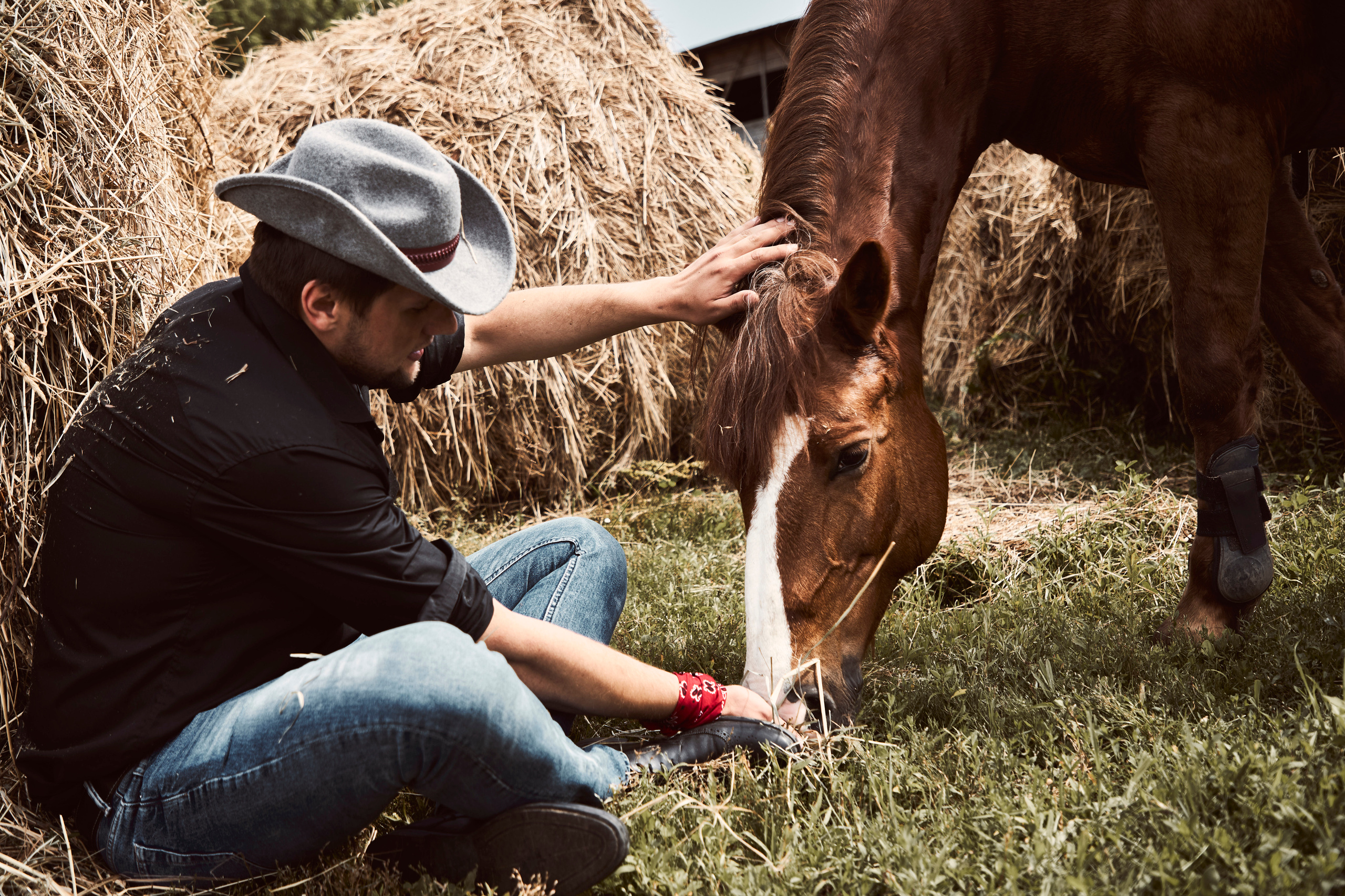 Фотосессия для Виталия на конюшне. Анна Потявина. Фотограф Москва