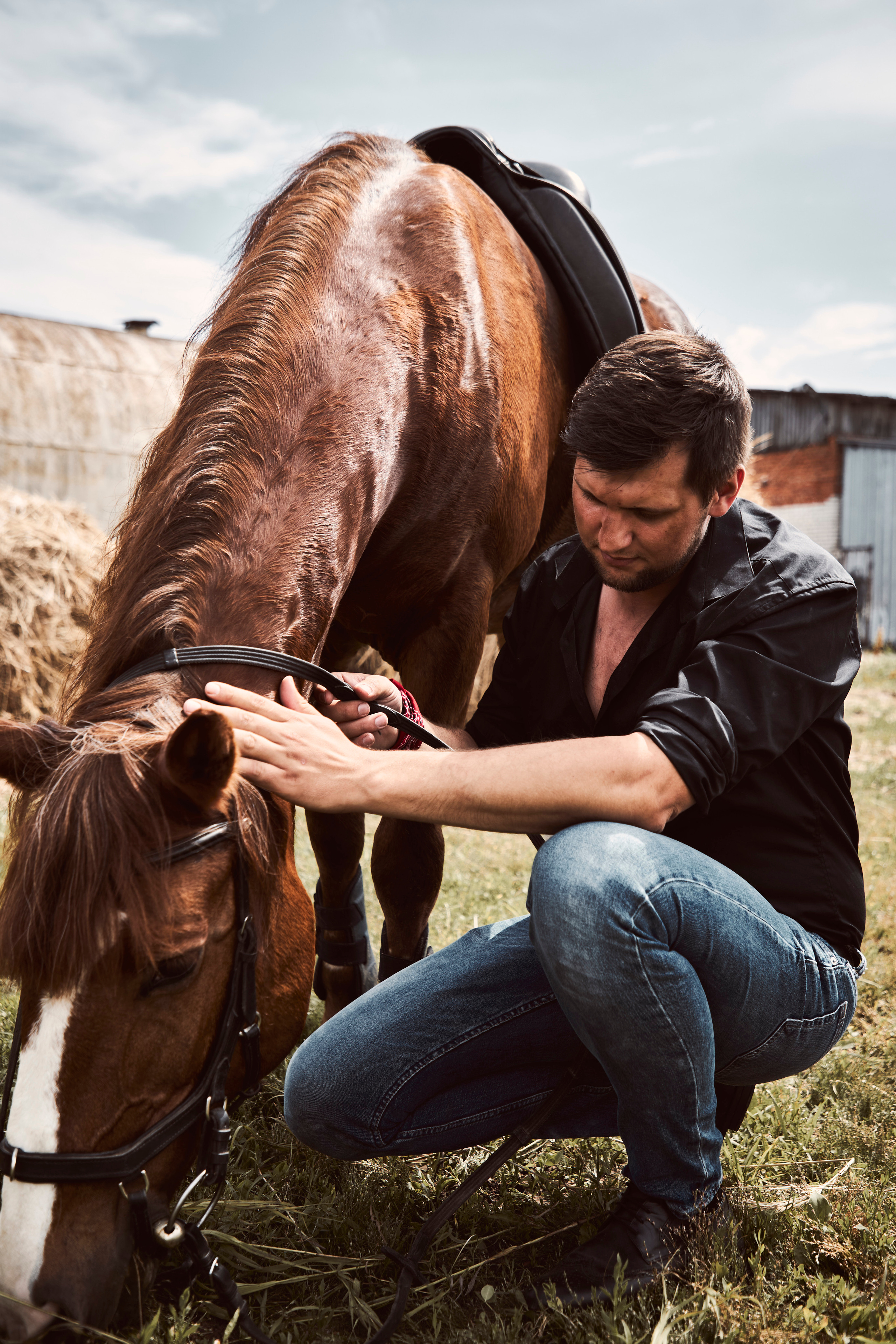 Фотосессия для Виталия на конюшне. Анна Потявина. Фотограф Москва
