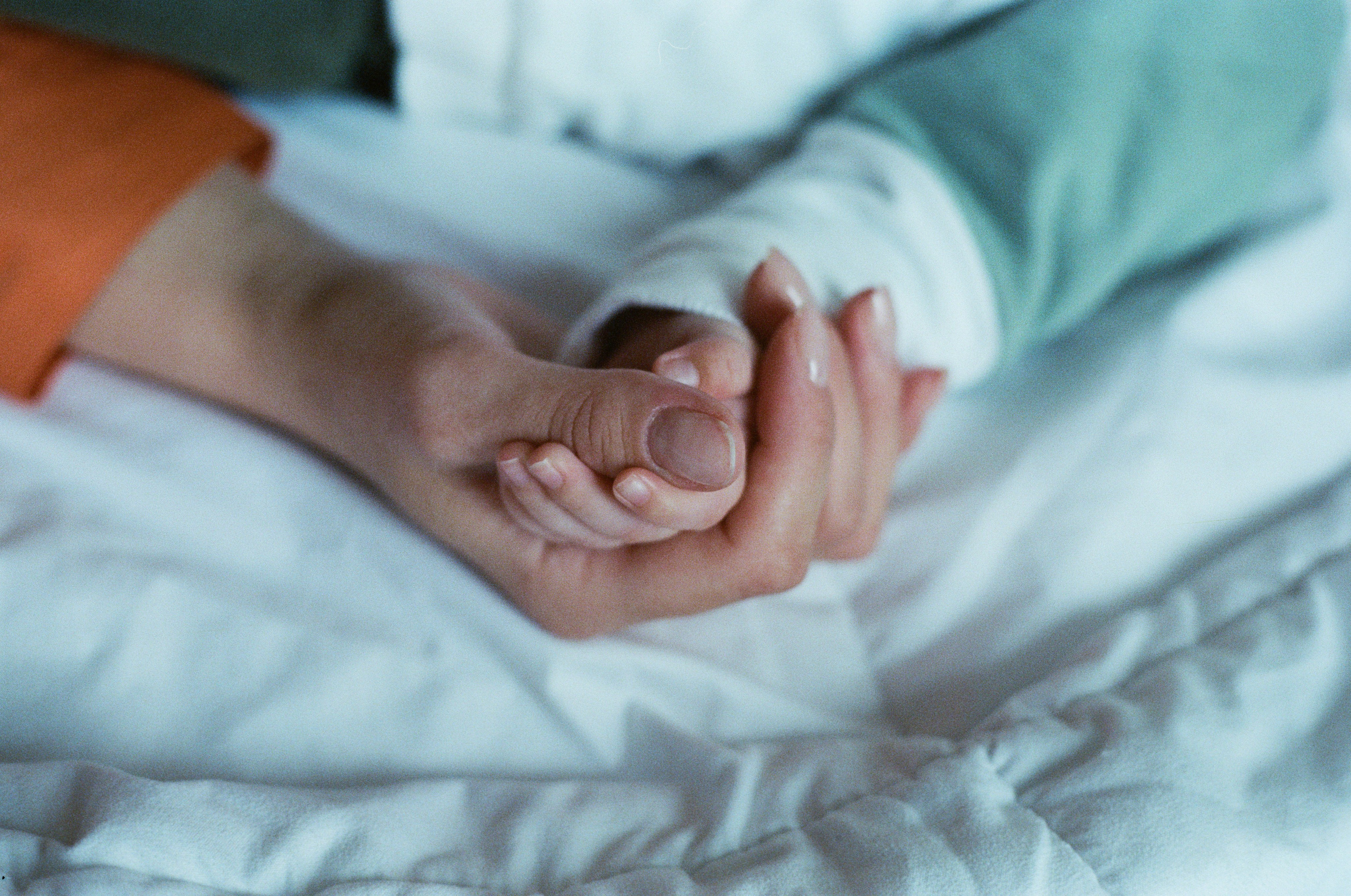 Герман, Елена и Марк. В преддверии Нового года. Настя Оленченко, портретный/семейный фотограф на цифру и плёнку Москва