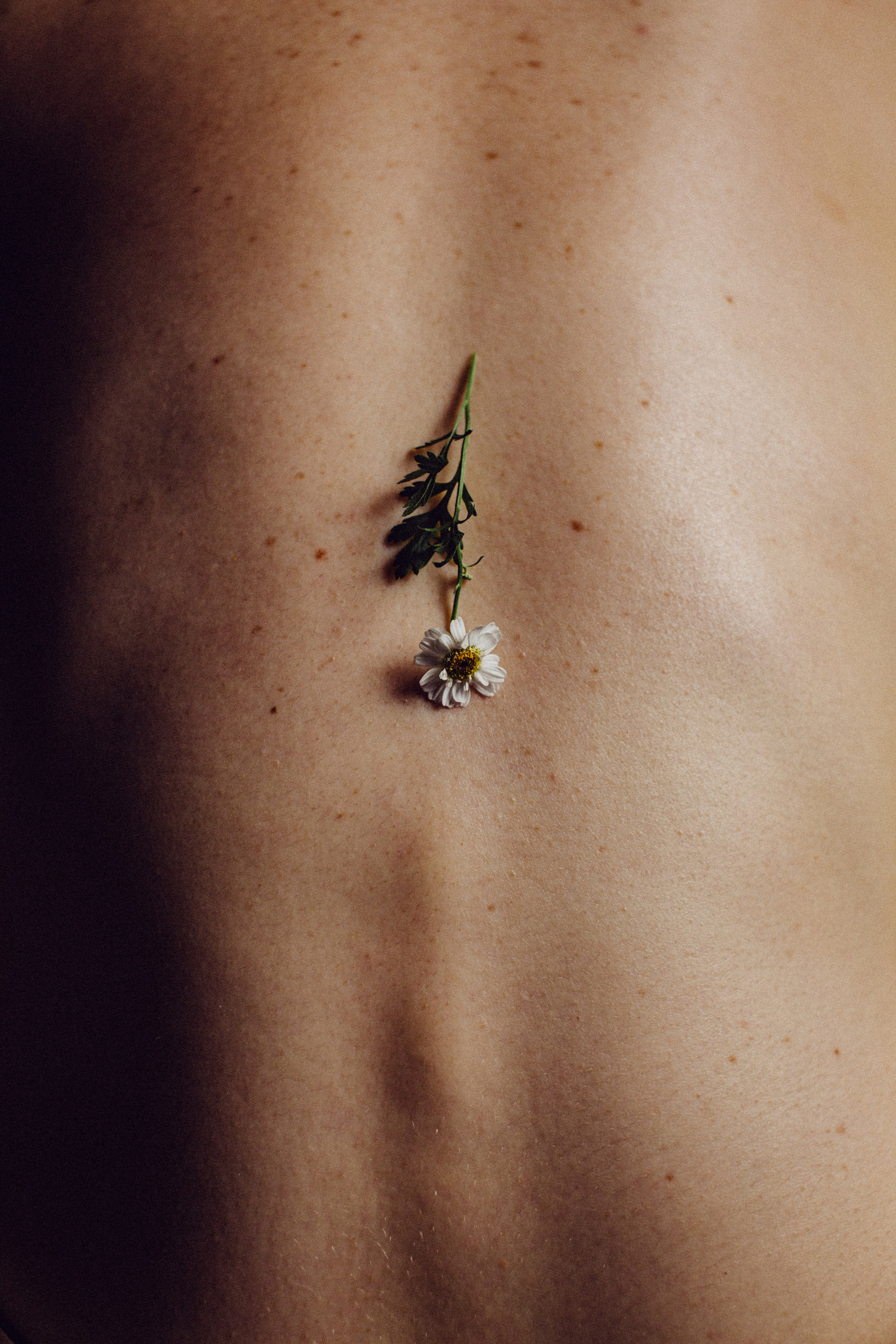 Вновь о женской красоте…. Фотограф Краснодар/преподаватель фотографии