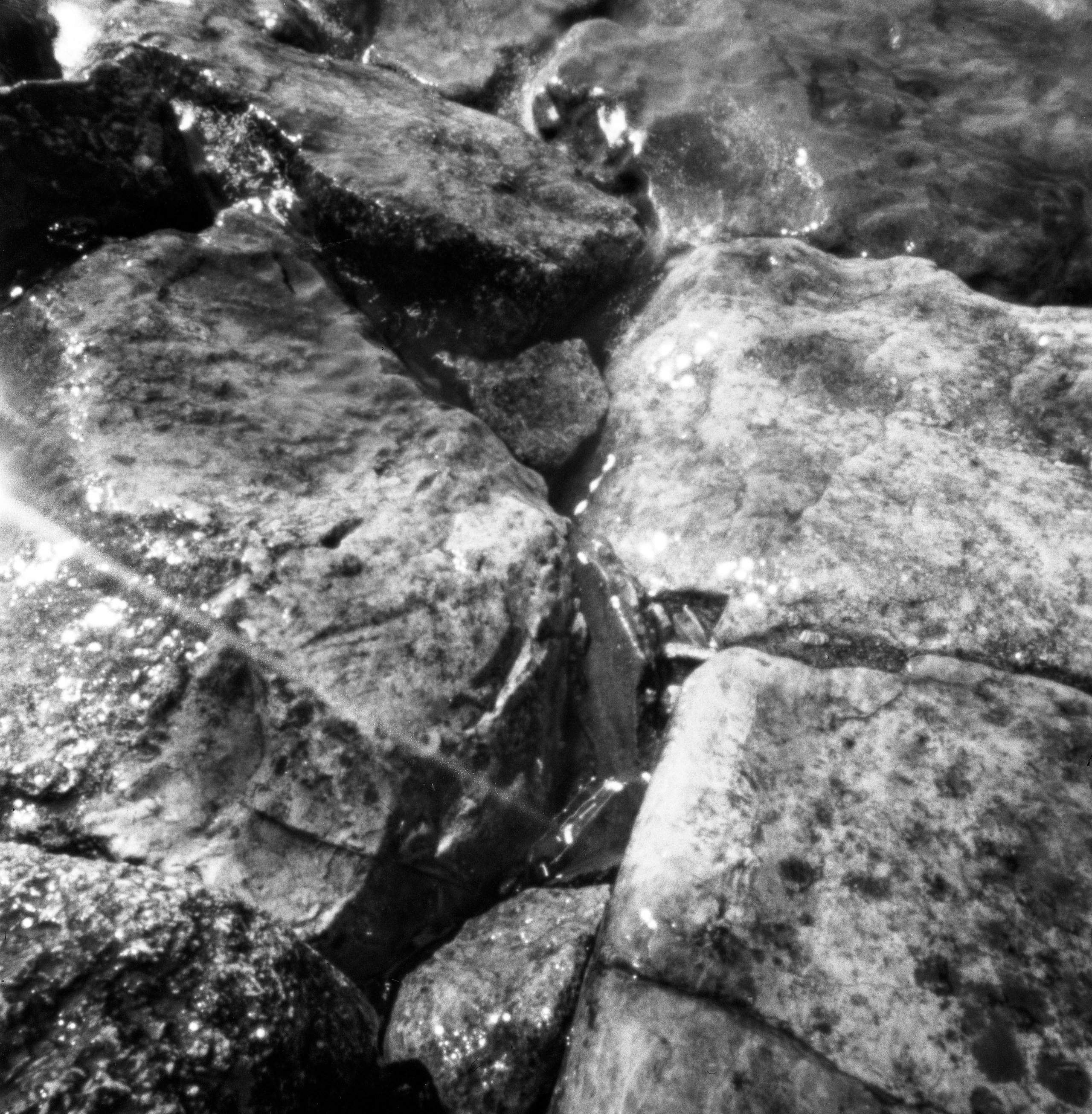 Pinhole. Philipp Yelistratov