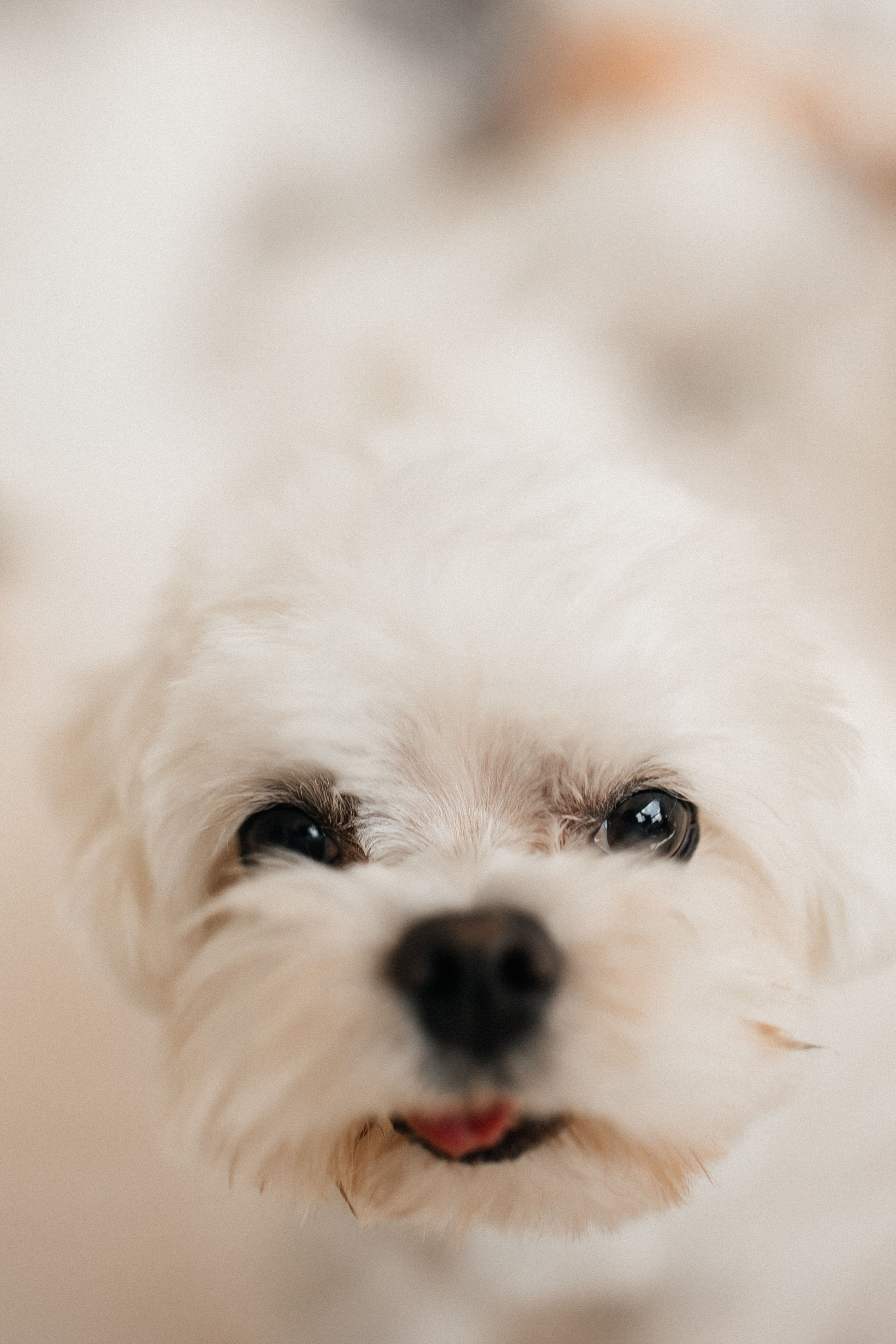 Владислав & Ксения. СВАДЕБНЫЙ ФОТОГРАФ ЕВГЕНИЯ МОДИНА Ярославль