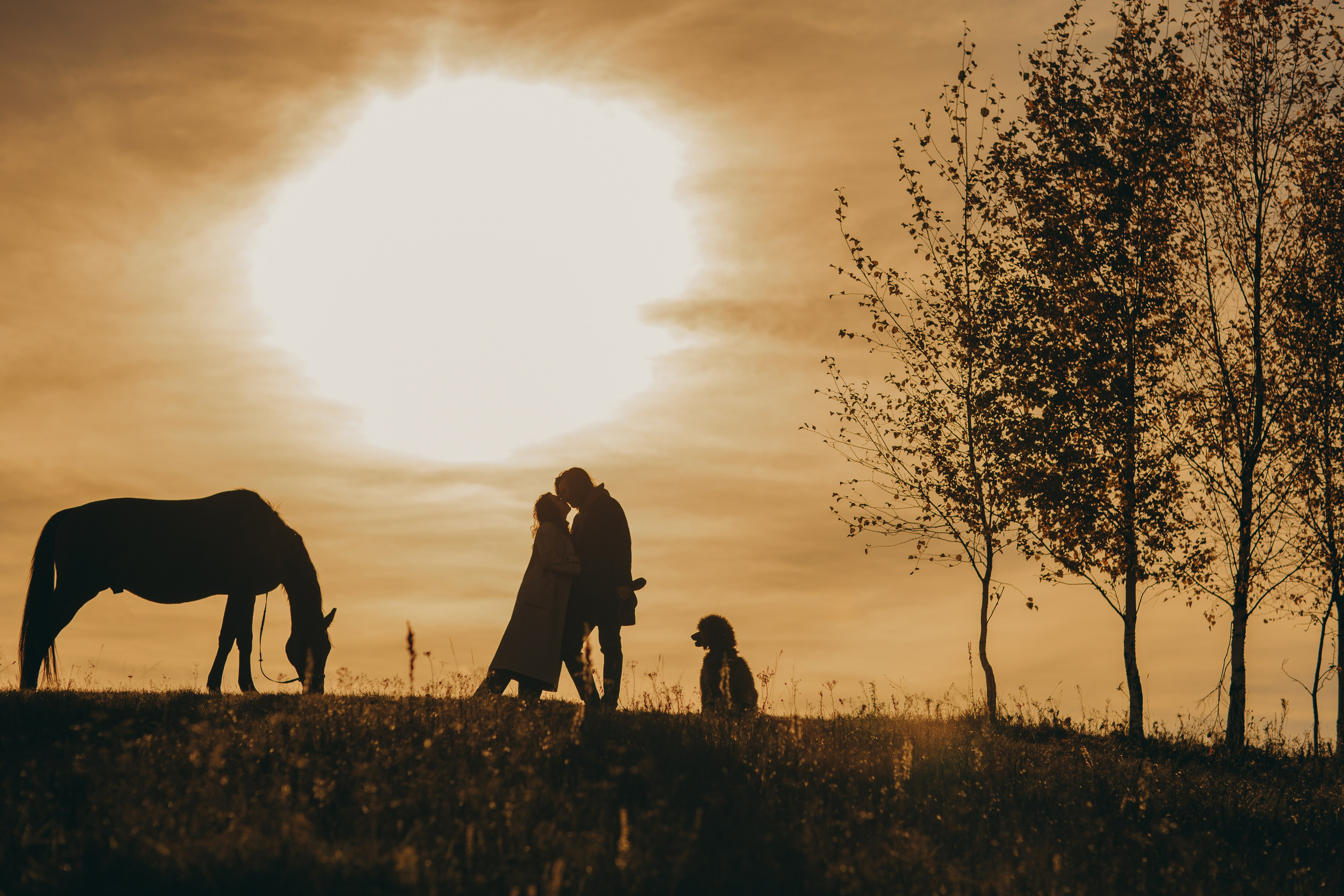 Наши пушистые дети. Главная