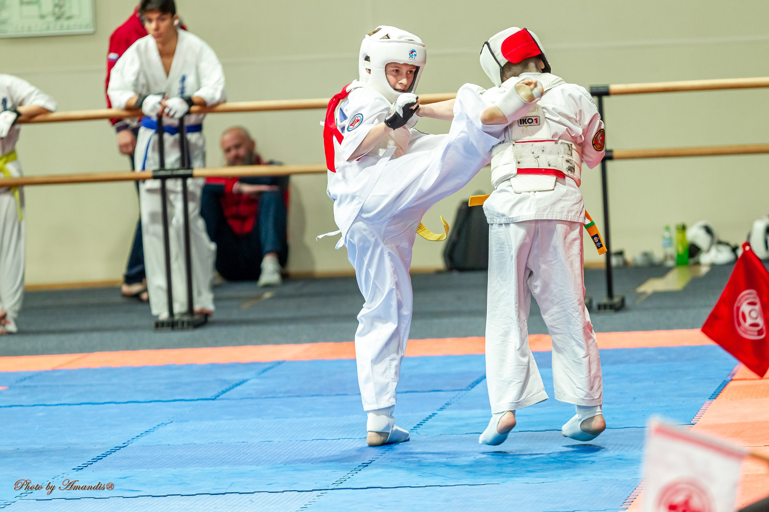 Первенство Московской области по Киокушин в СК «Жаворонки». Репортажная съемка в Москве и области. Анималистика