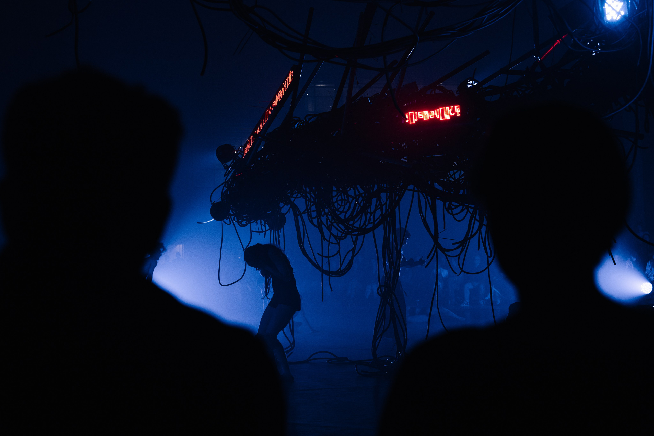 PERFORMA, The Hour of the Horse. @tomrus: Рустам Шагиморданов — фотограф