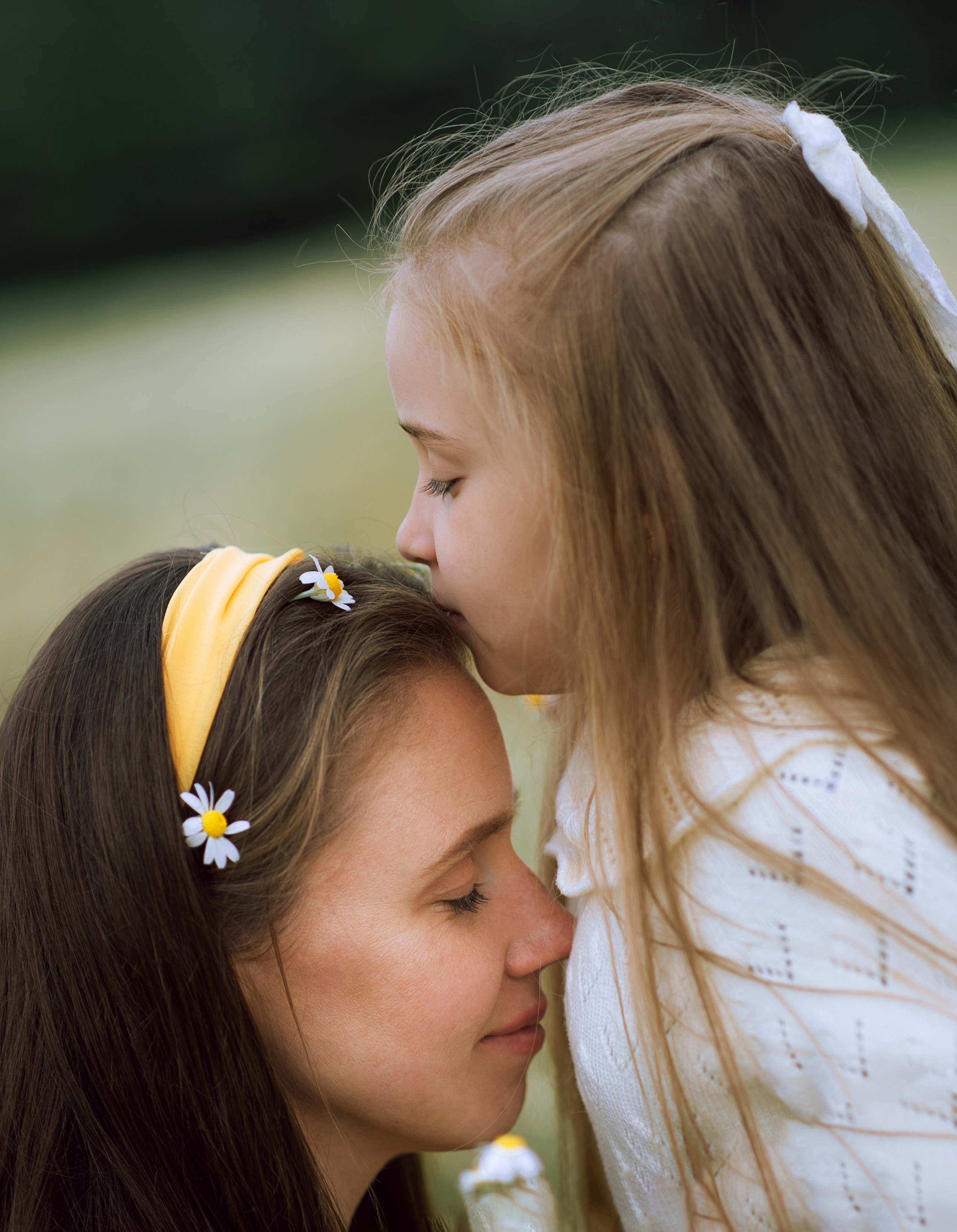 Ромашковое поле, полное любви. Главная