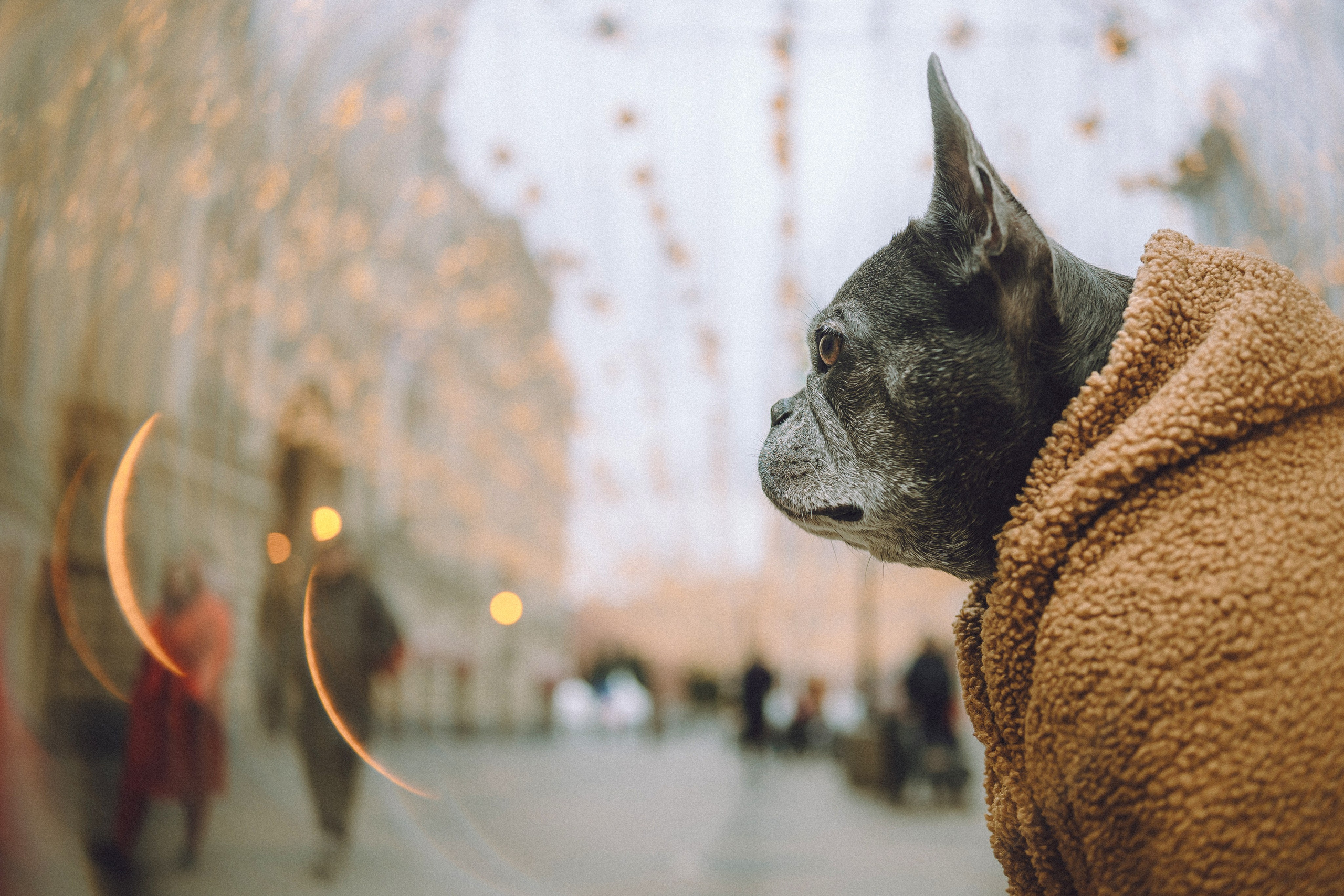Юля, Вова и Моня