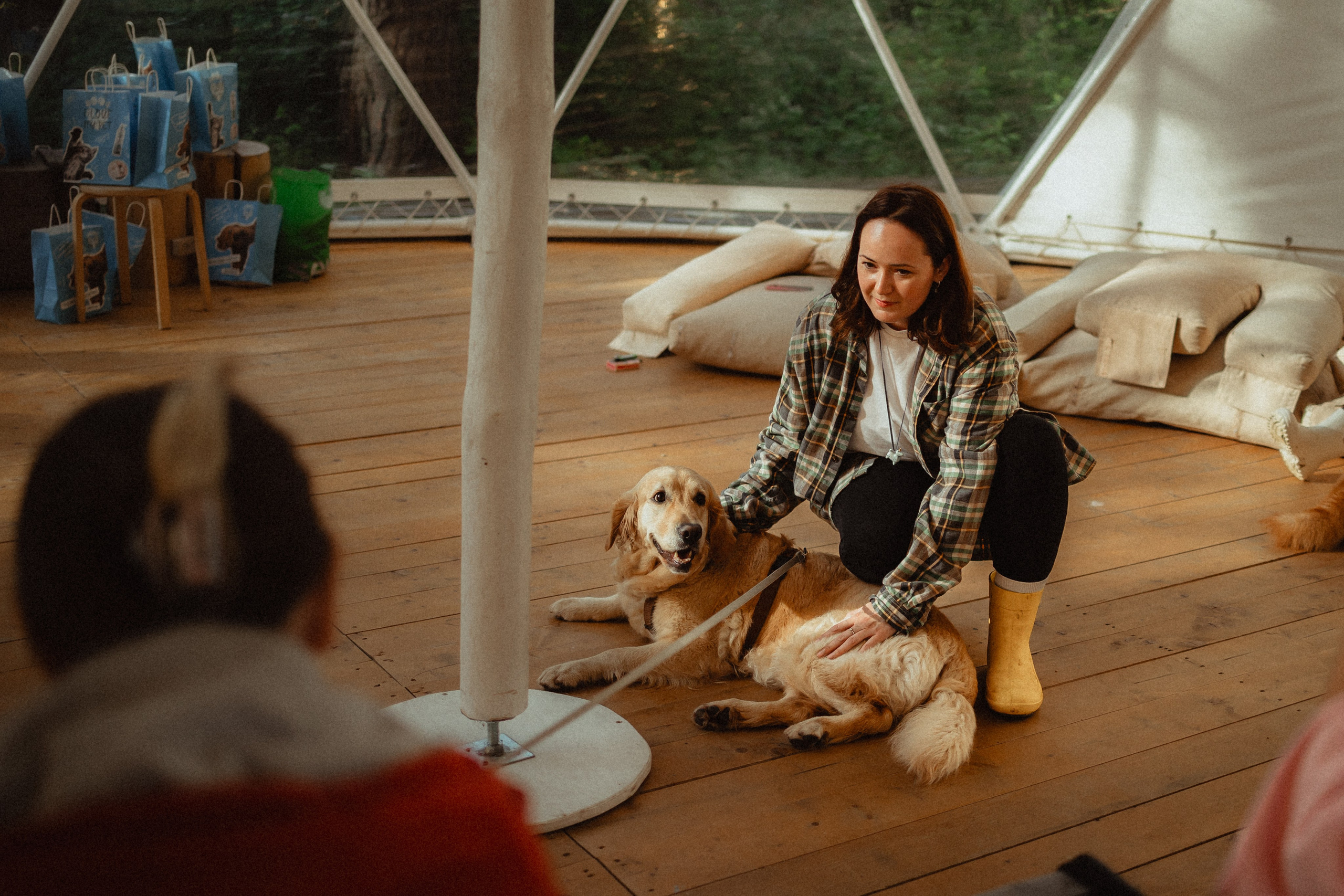 Выездной дог-тренинг от школы «Шерсть имею»