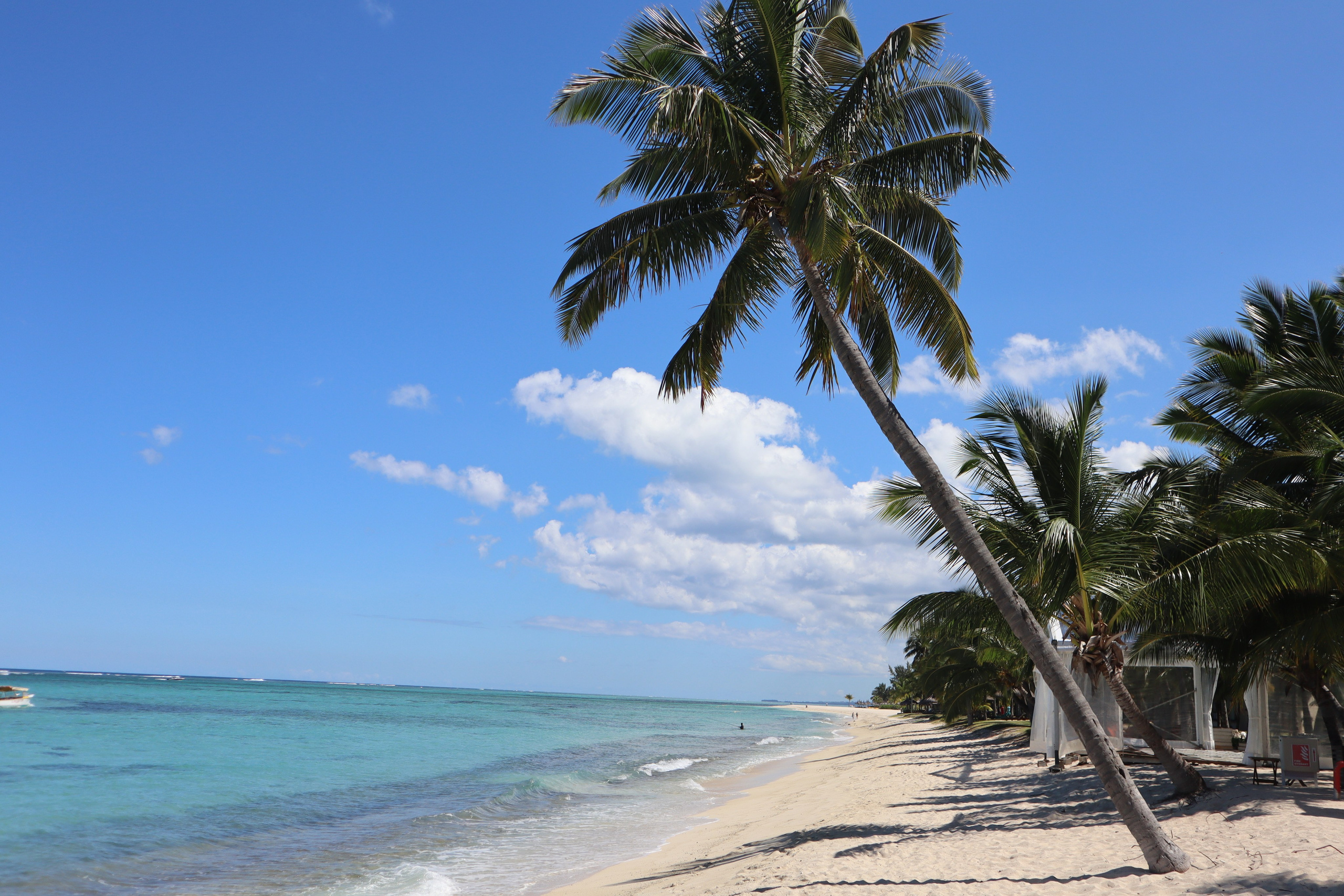 Путешествие на родину птицы додо. Travel photographer Ksenia