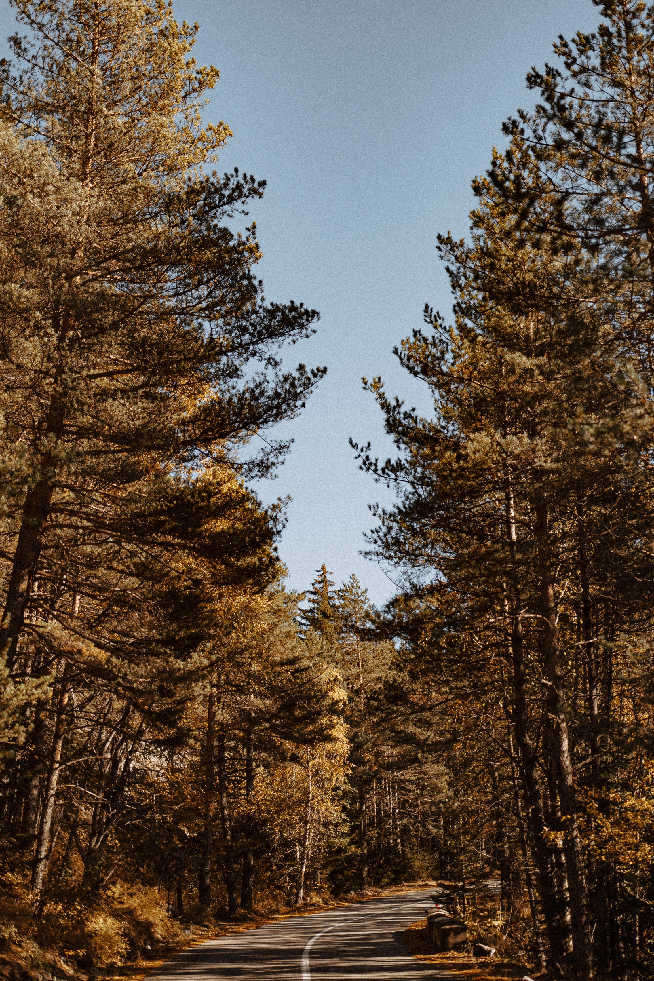 ВЫШЕ ТОЛЬКО ЛЮБОВЬ. Фотограф Настя Конник | Пятигорск | Эльбрус | Домбай | Архыз