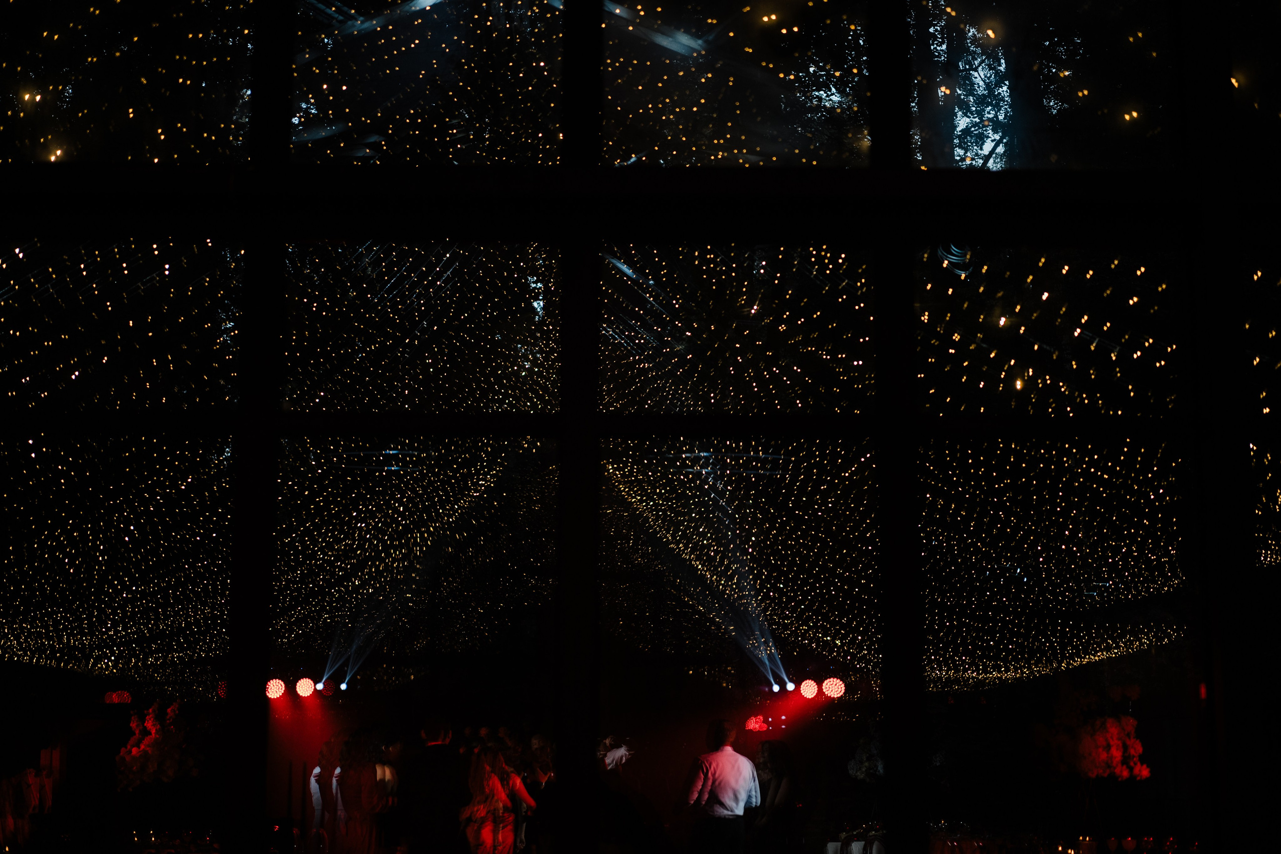 Veronika&Nikita. Валерия Солнцева свадебный и семейный фотограф