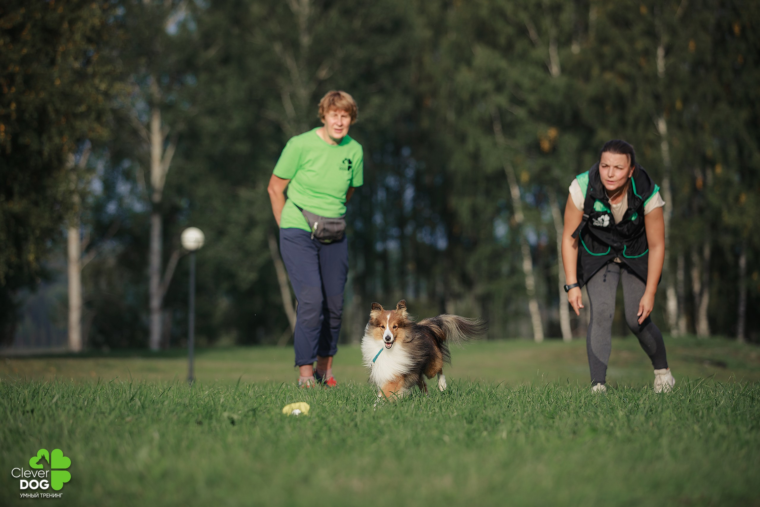 Кинологический лагерь CleverDog, 2024. Фотограф-анималист Mary Mart — Москва, Питер